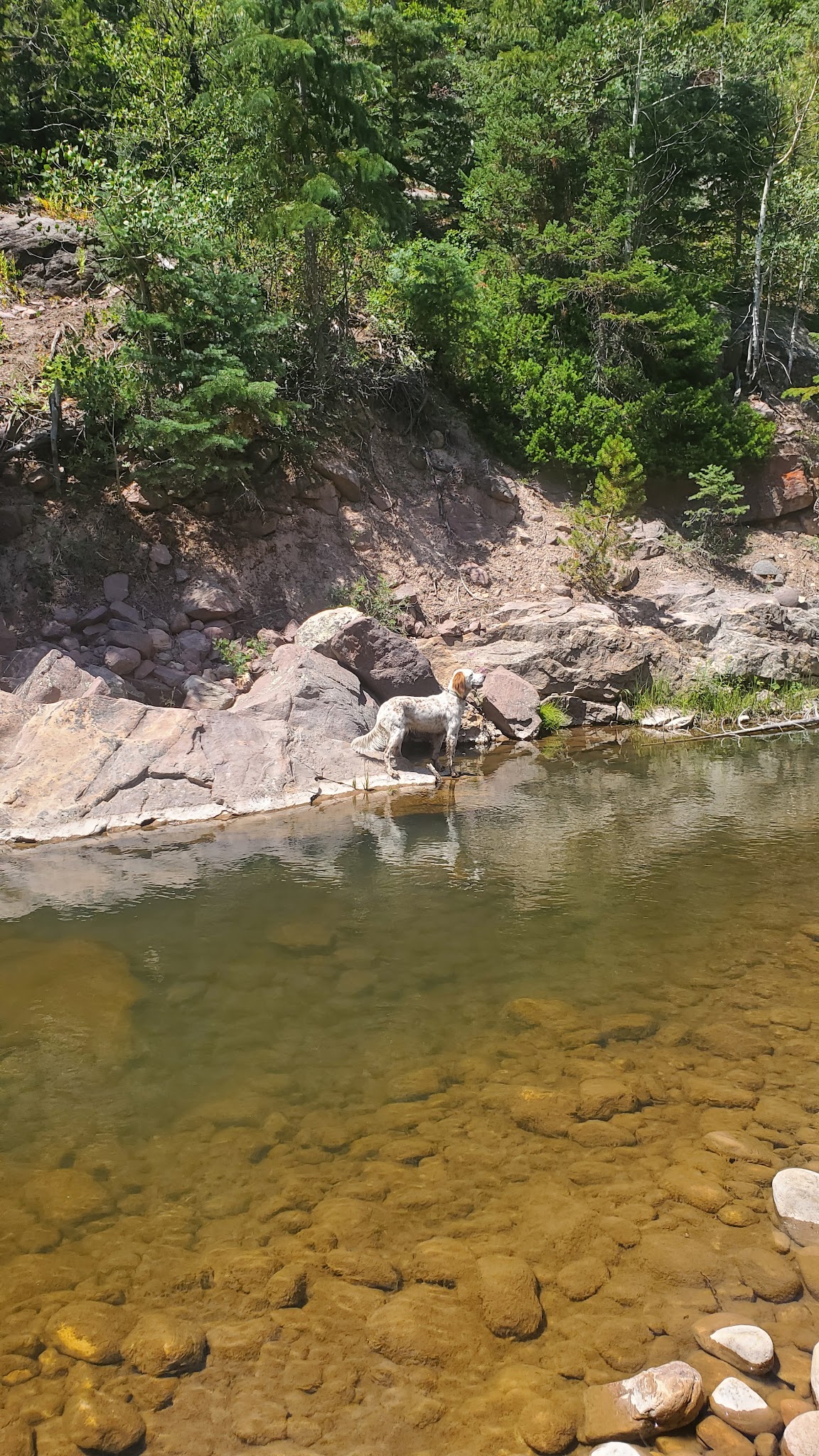 Mill Flat Camping Area