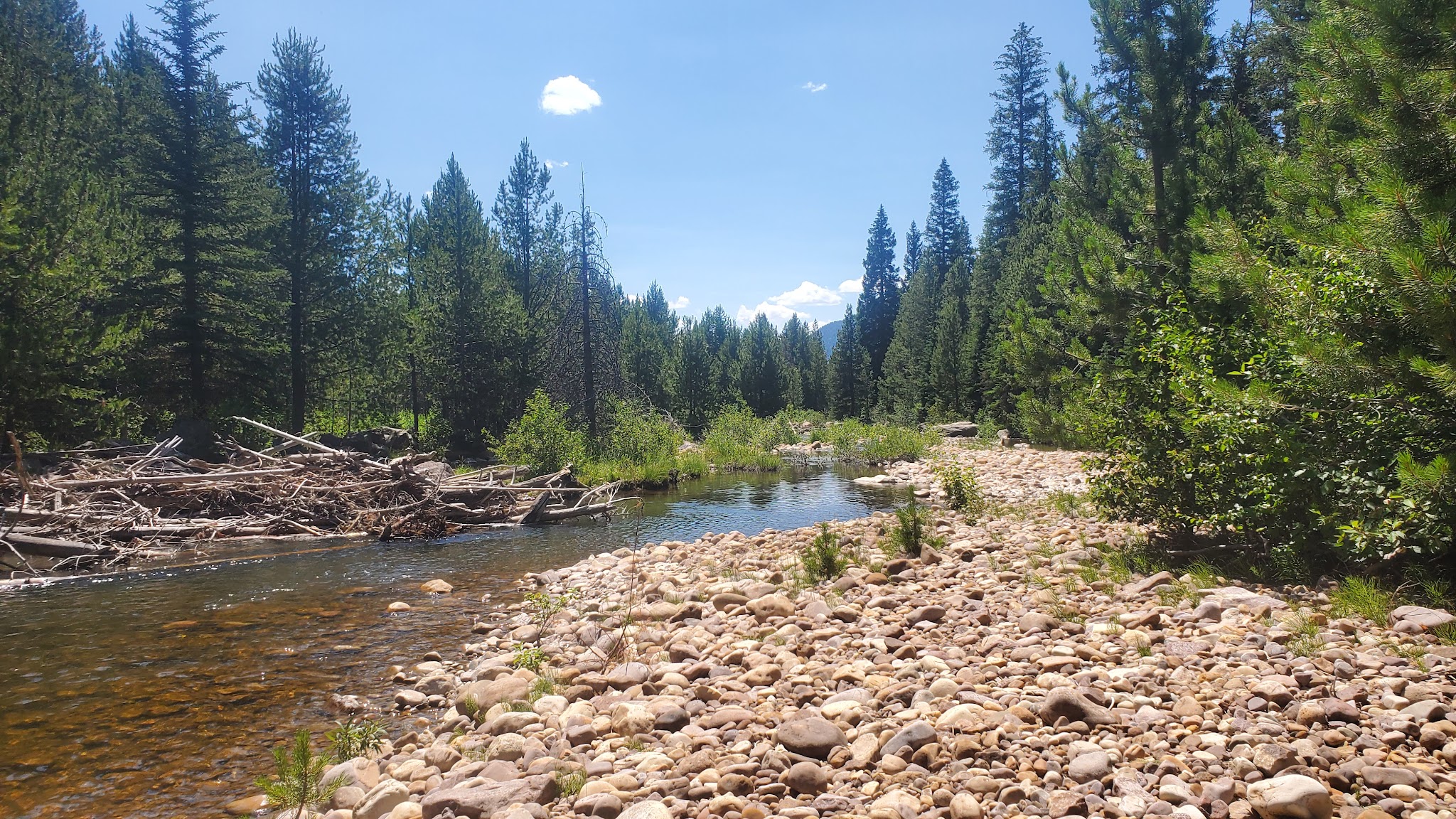 Mill Flat Camping Area