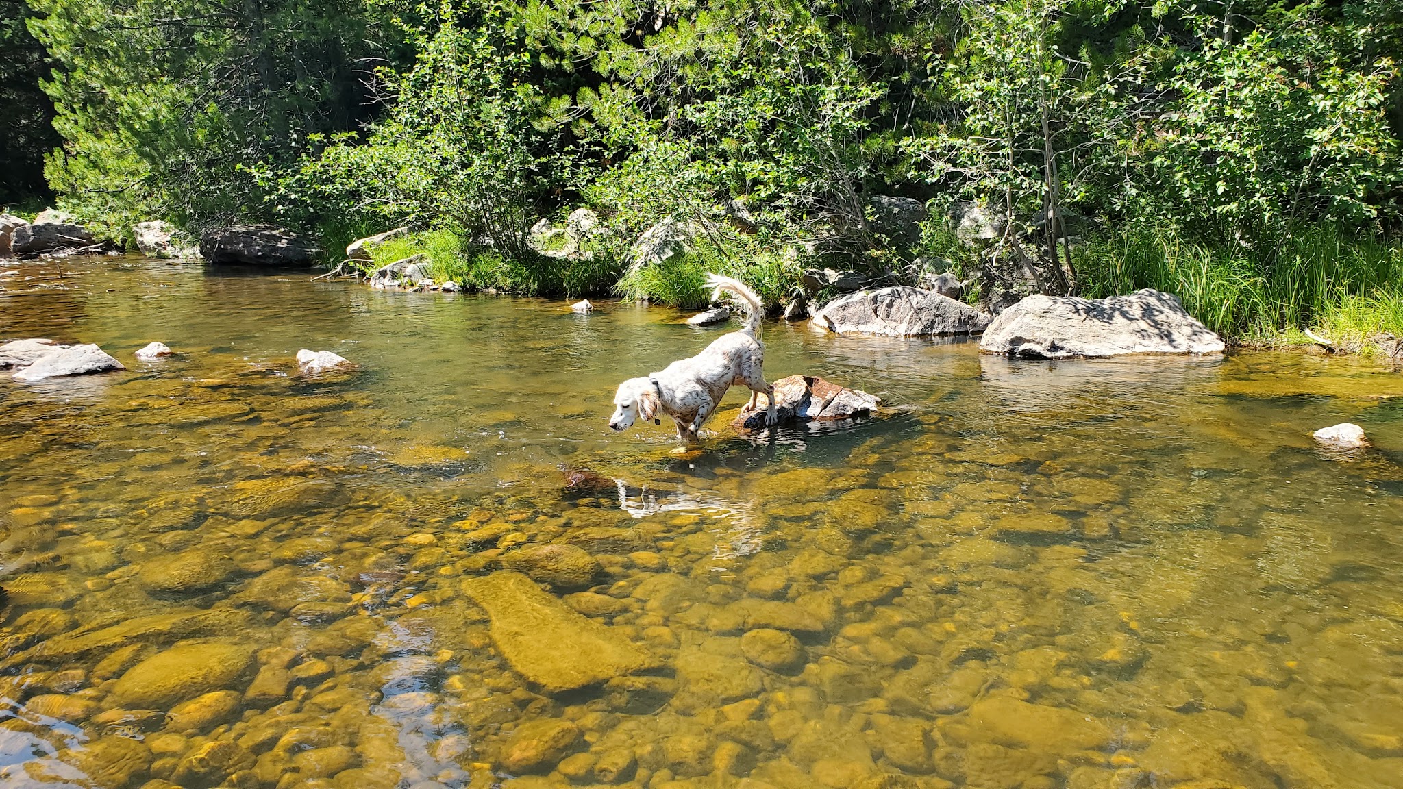 Mill Flat Camping Area