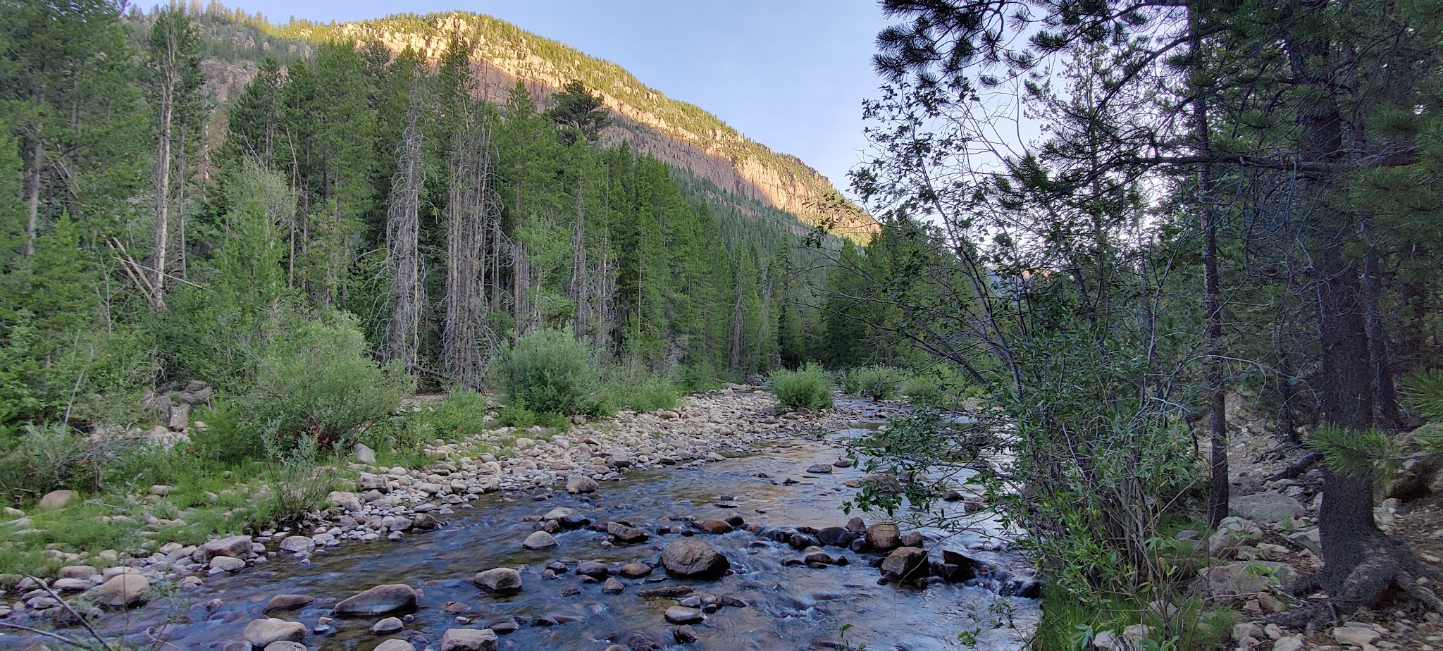 Mill Flat Camping Area
