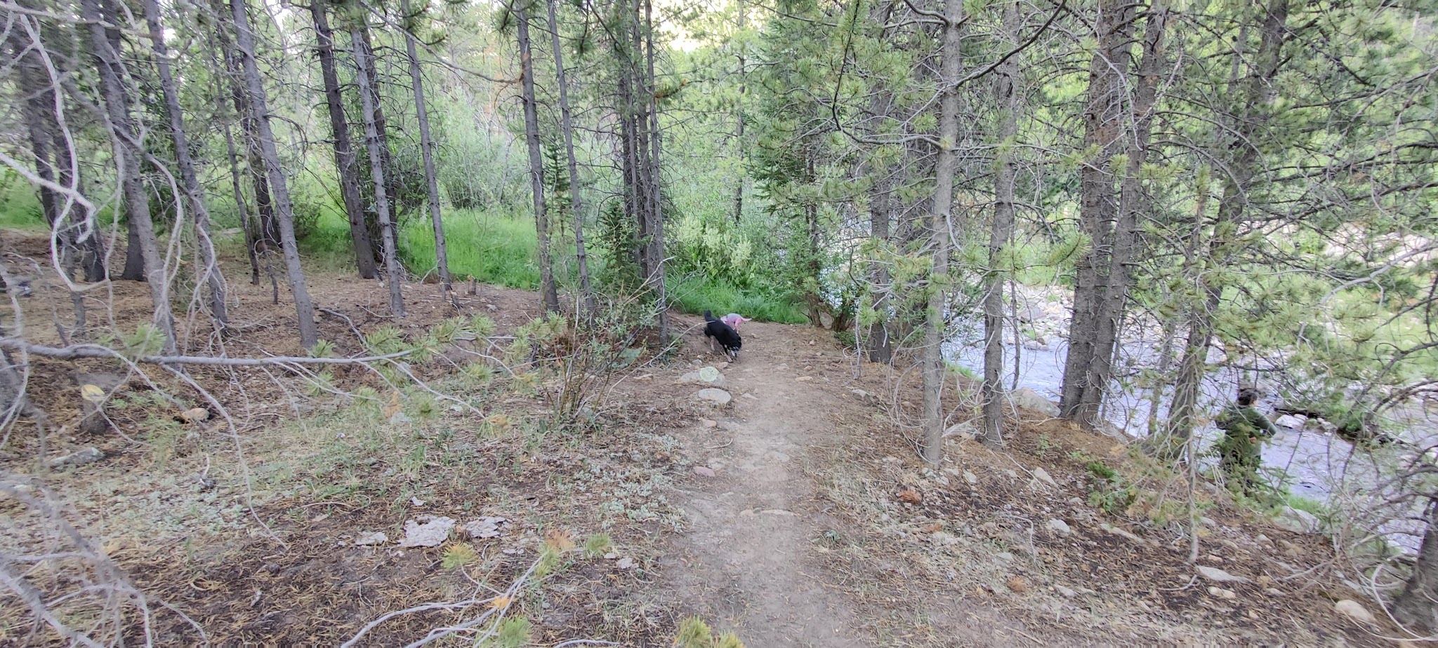 Mill Flat Camping Area