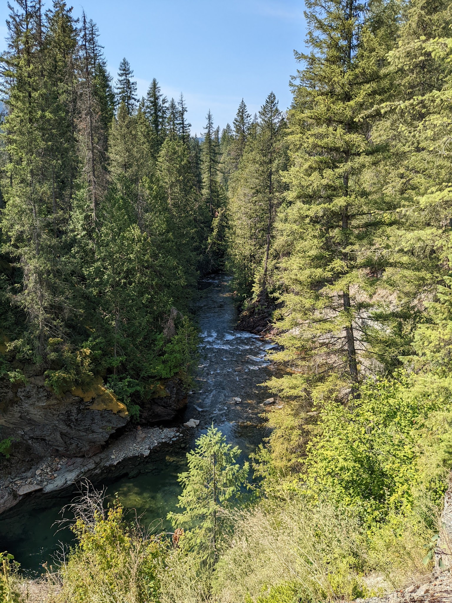 Mill Pond Campground
