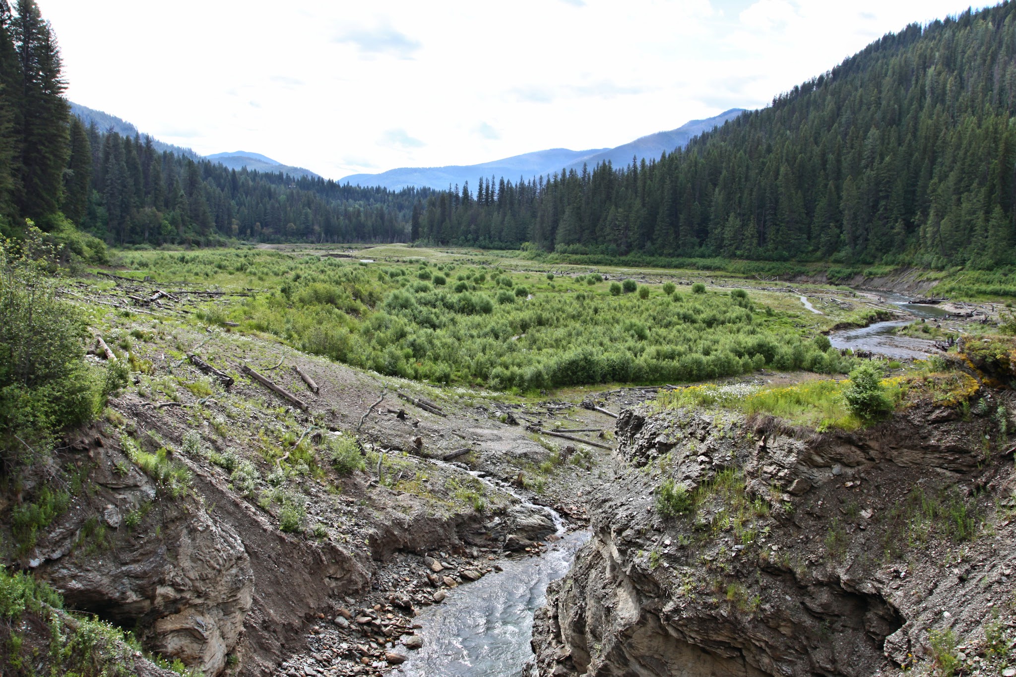 Mill Pond Campground