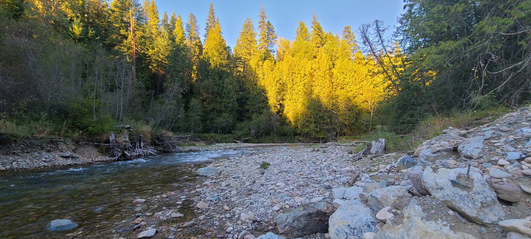 Mill Pond Campground