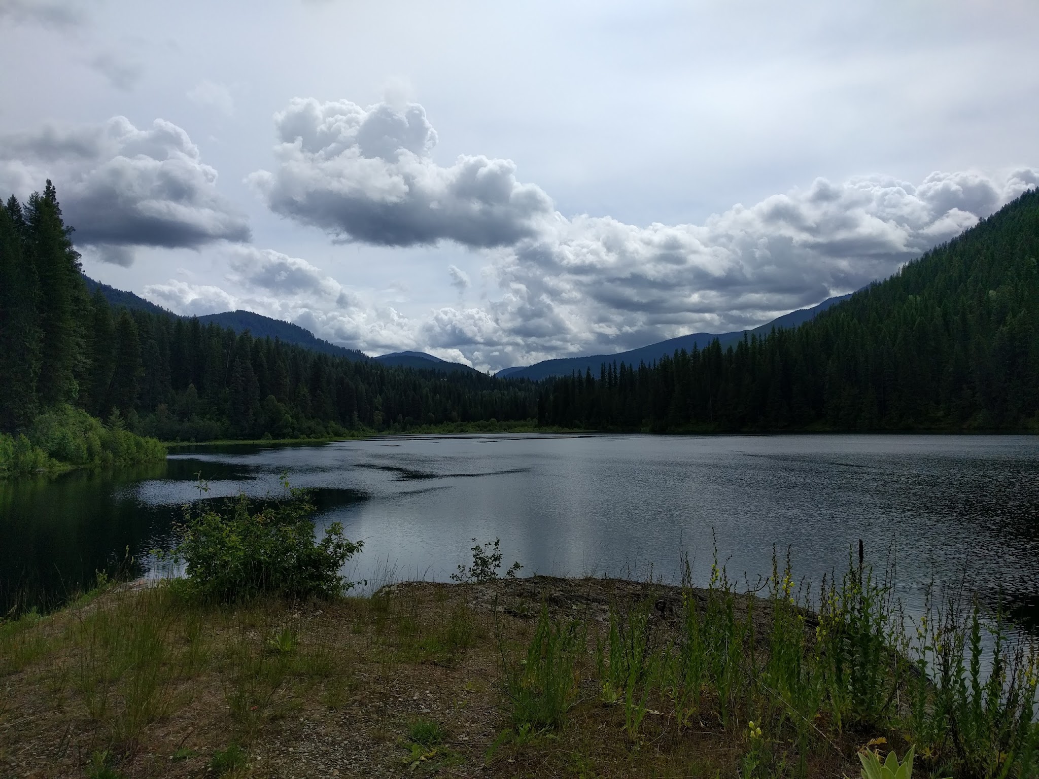 Mill Pond Campground