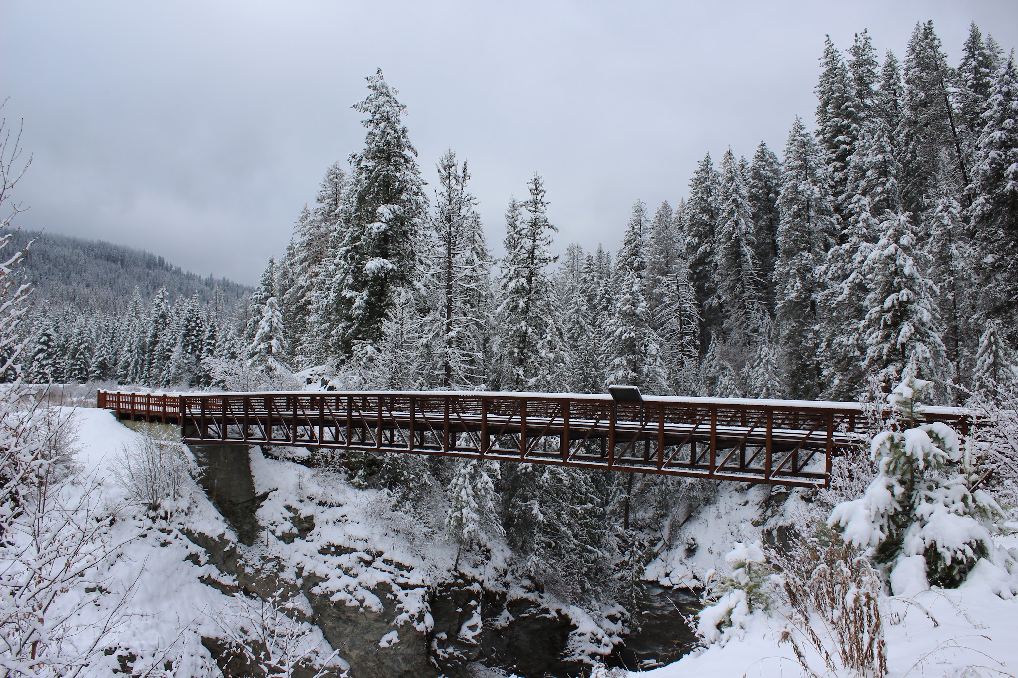 Mill Pond Campground