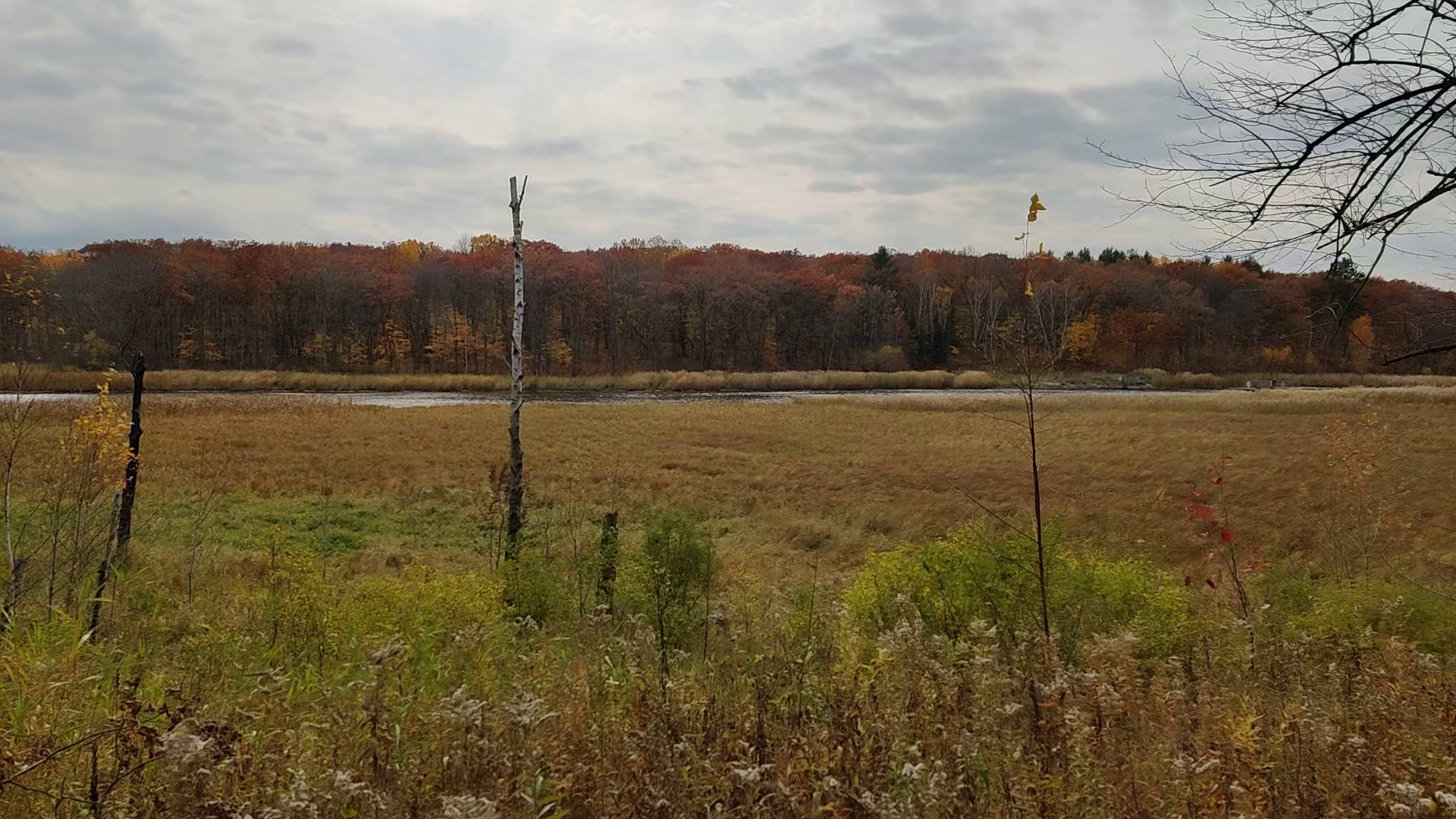 Equestrian - Horse Required Campground