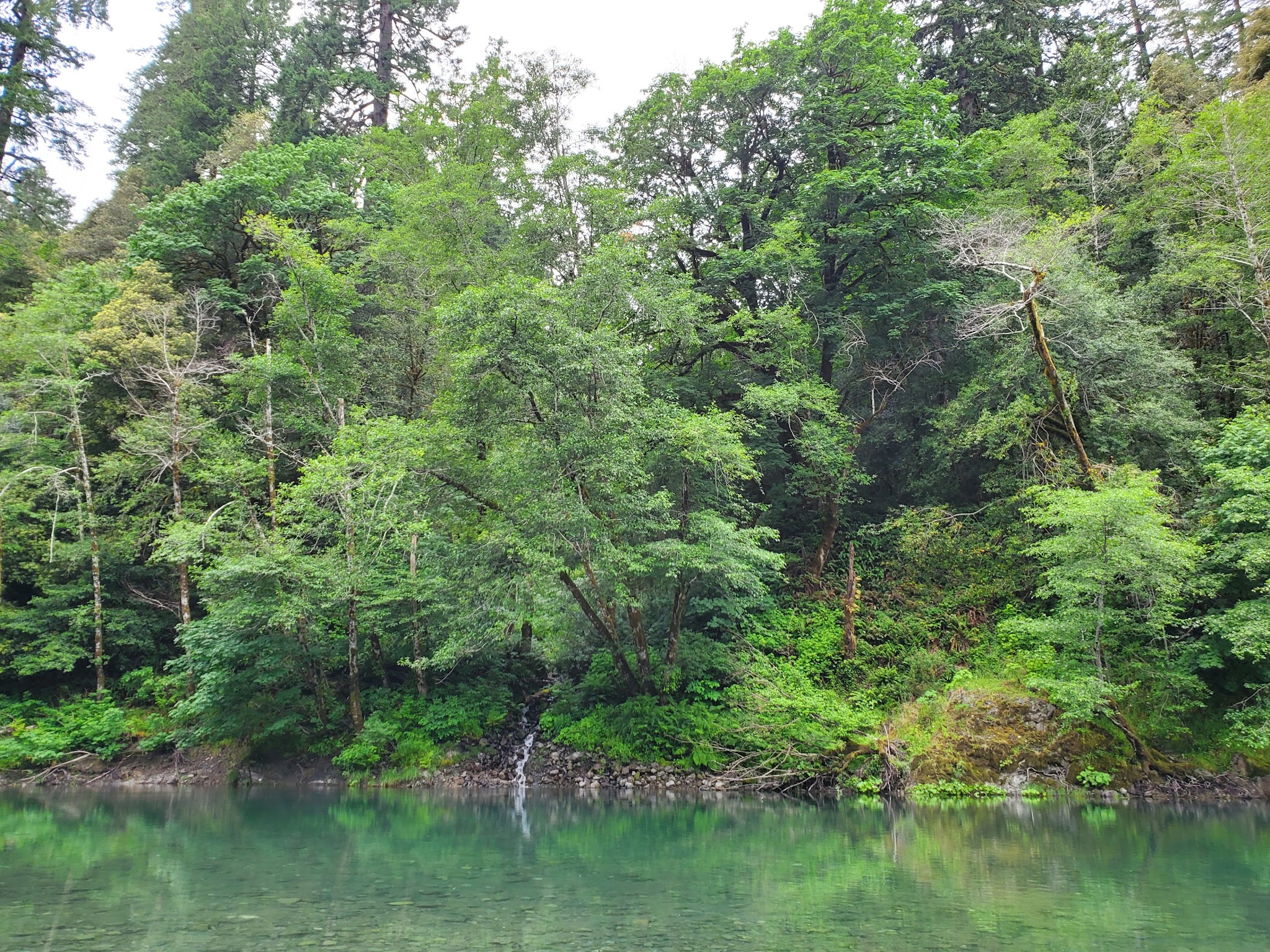 Miller Bar Camping And Day Use Area