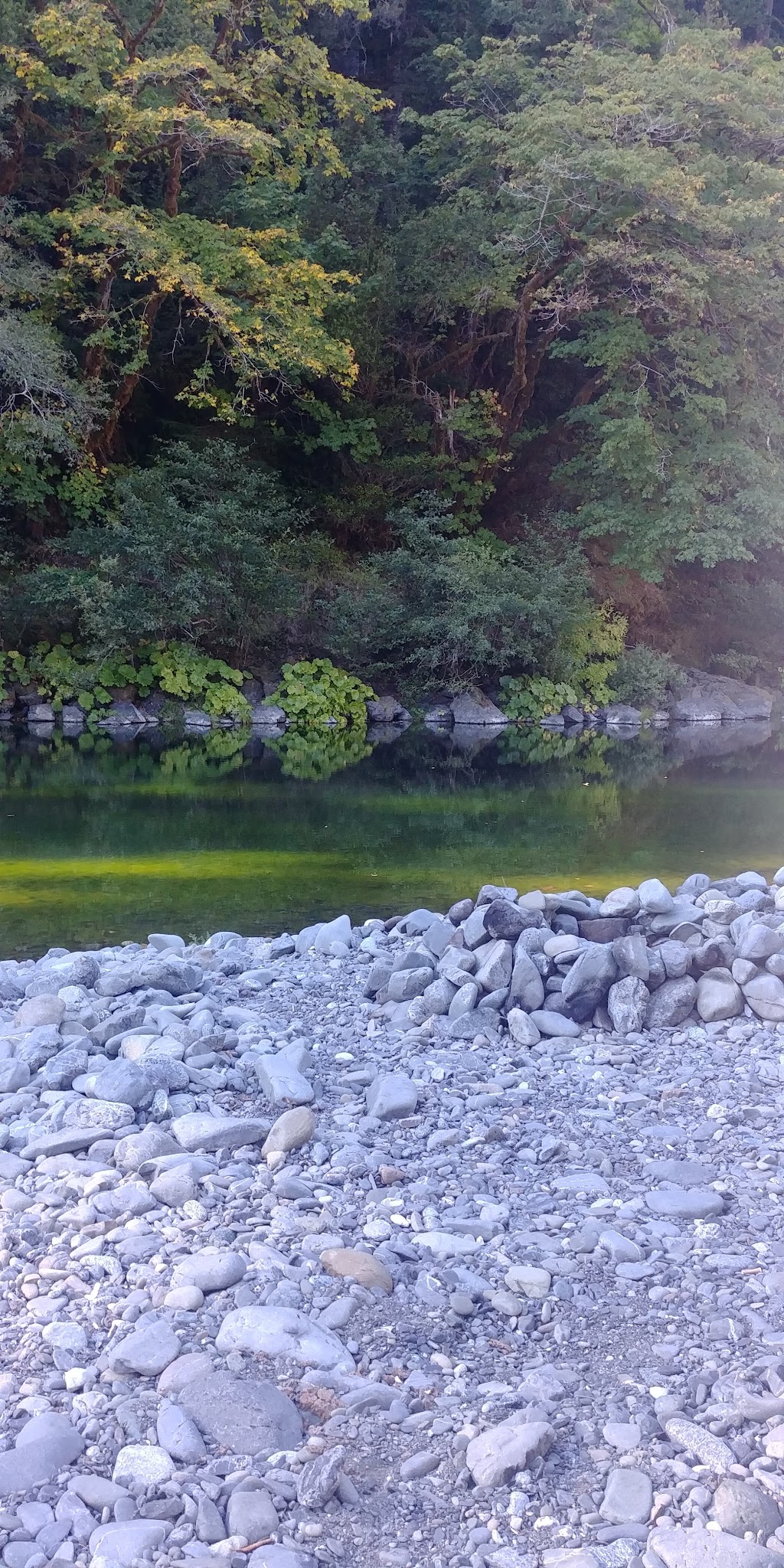 Miller Bar Camping And Day Use Area