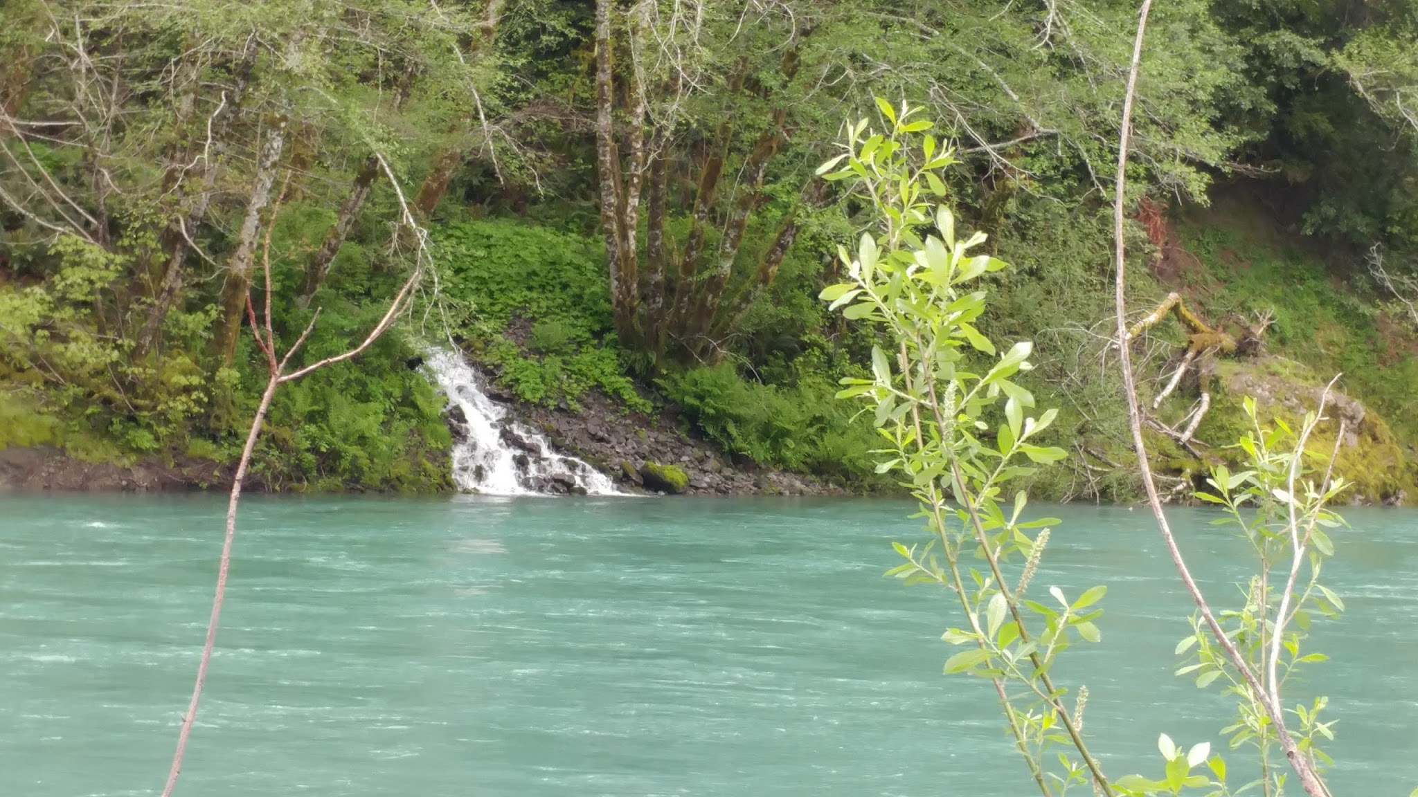 Miller Bar Camping And Day Use Area