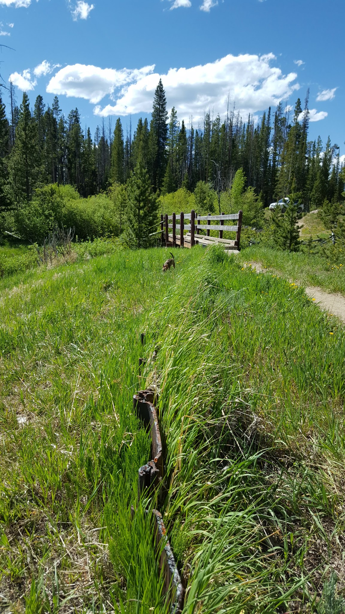 Miller Lake Dispersed Campground