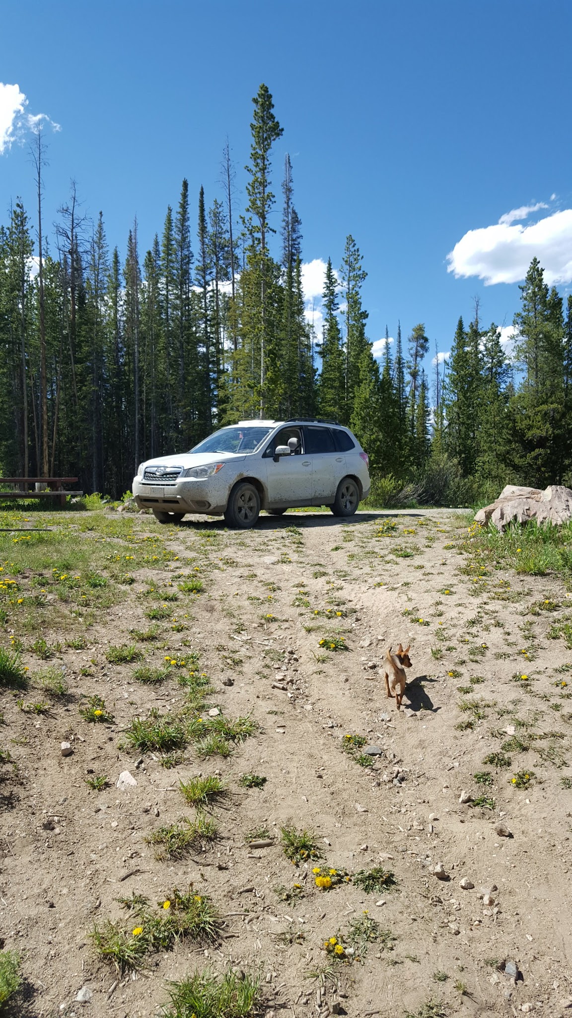 Miller Lake Dispersed Campground