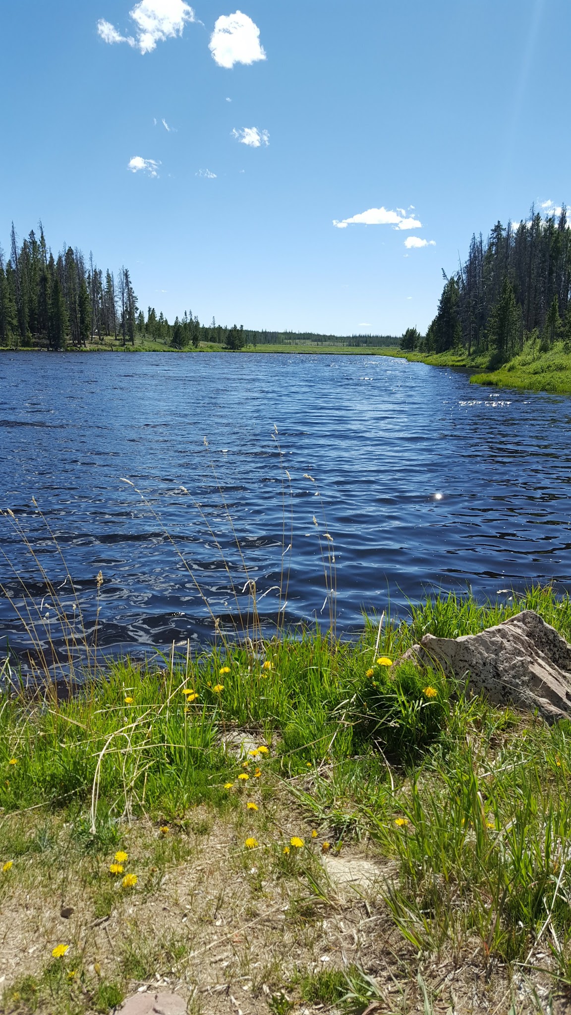 Miller Lake Dispersed Campground
