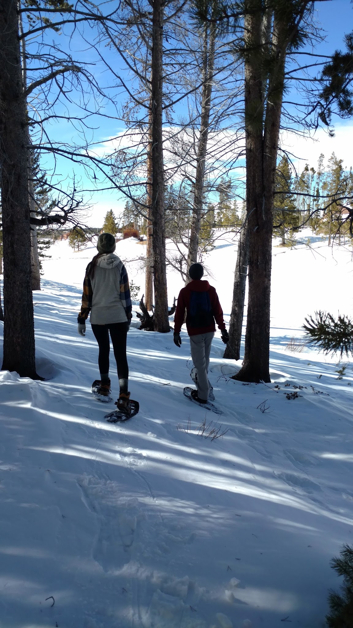 Miller Lake Dispersed Campground
