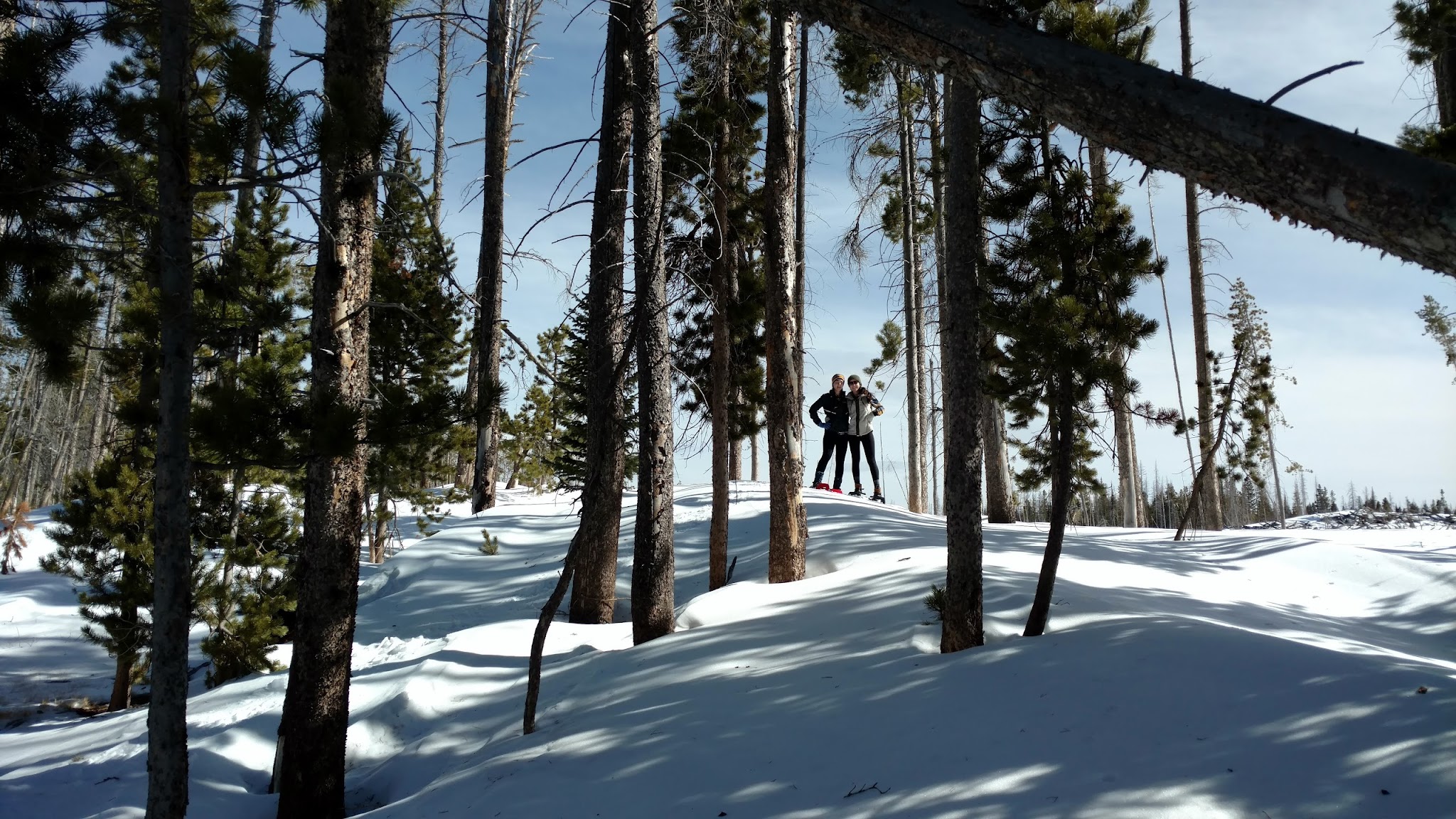 Miller Lake Dispersed Campground