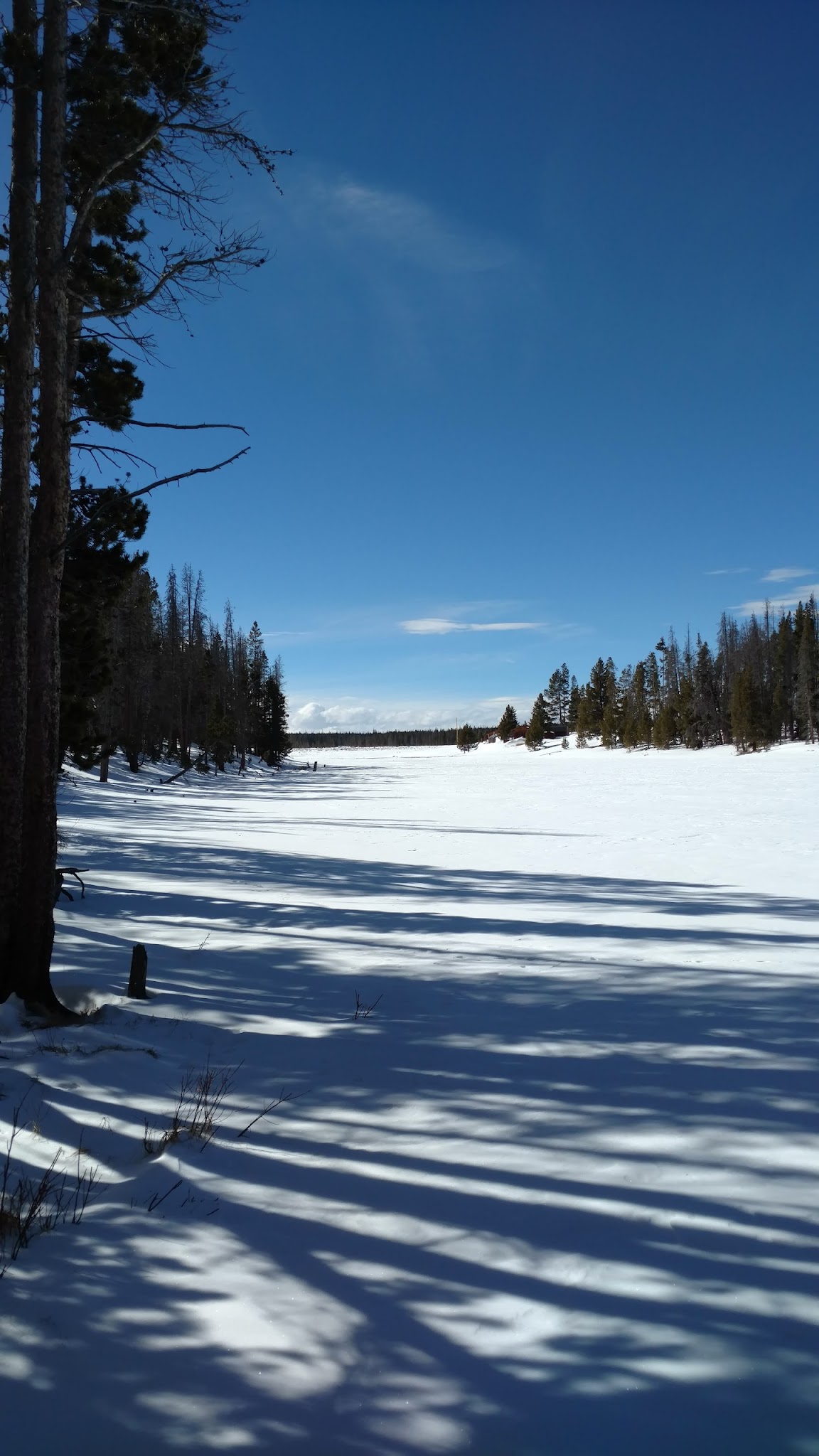 Miller Lake Dispersed Campground