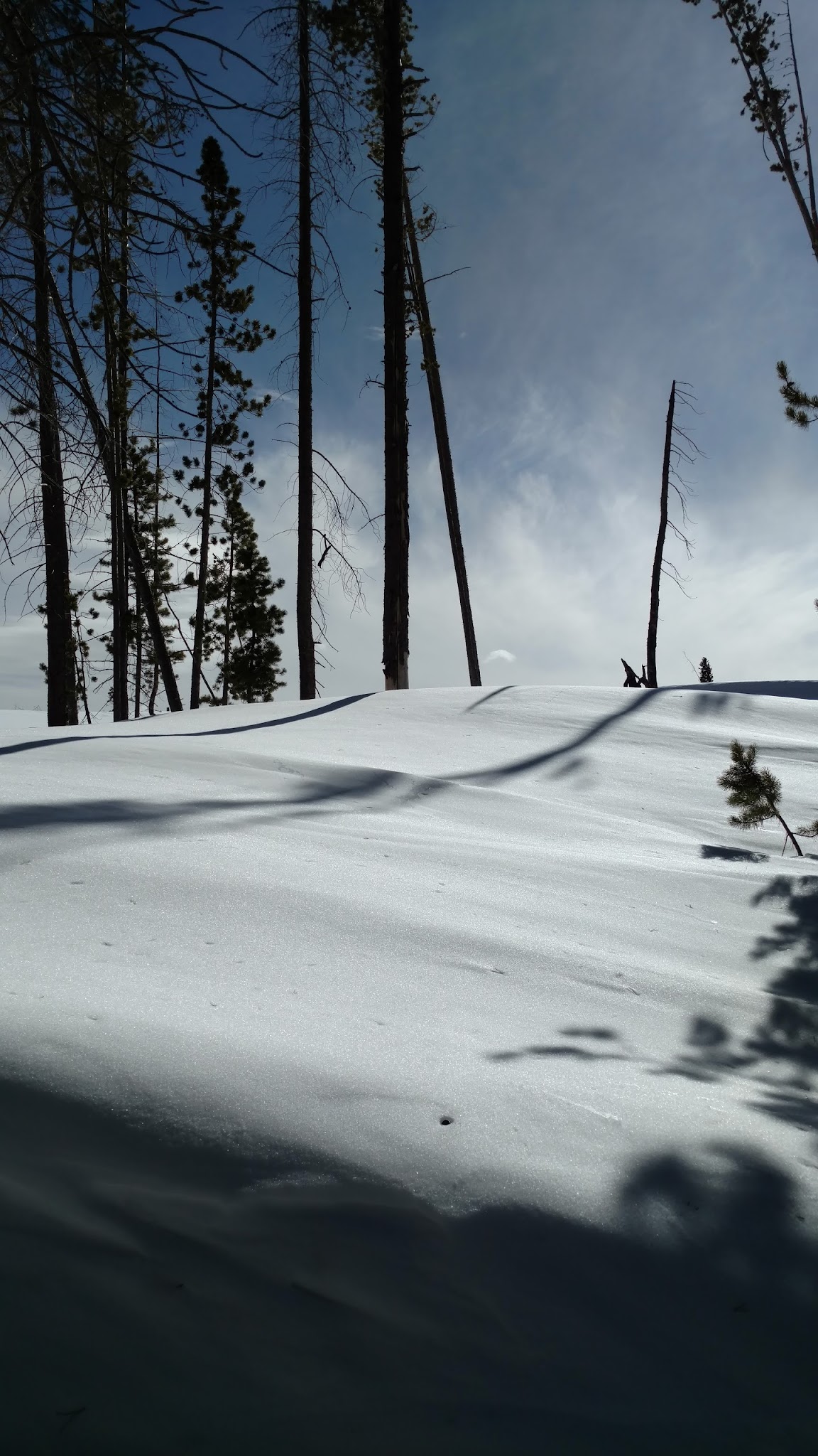 Miller Lake Dispersed Campground