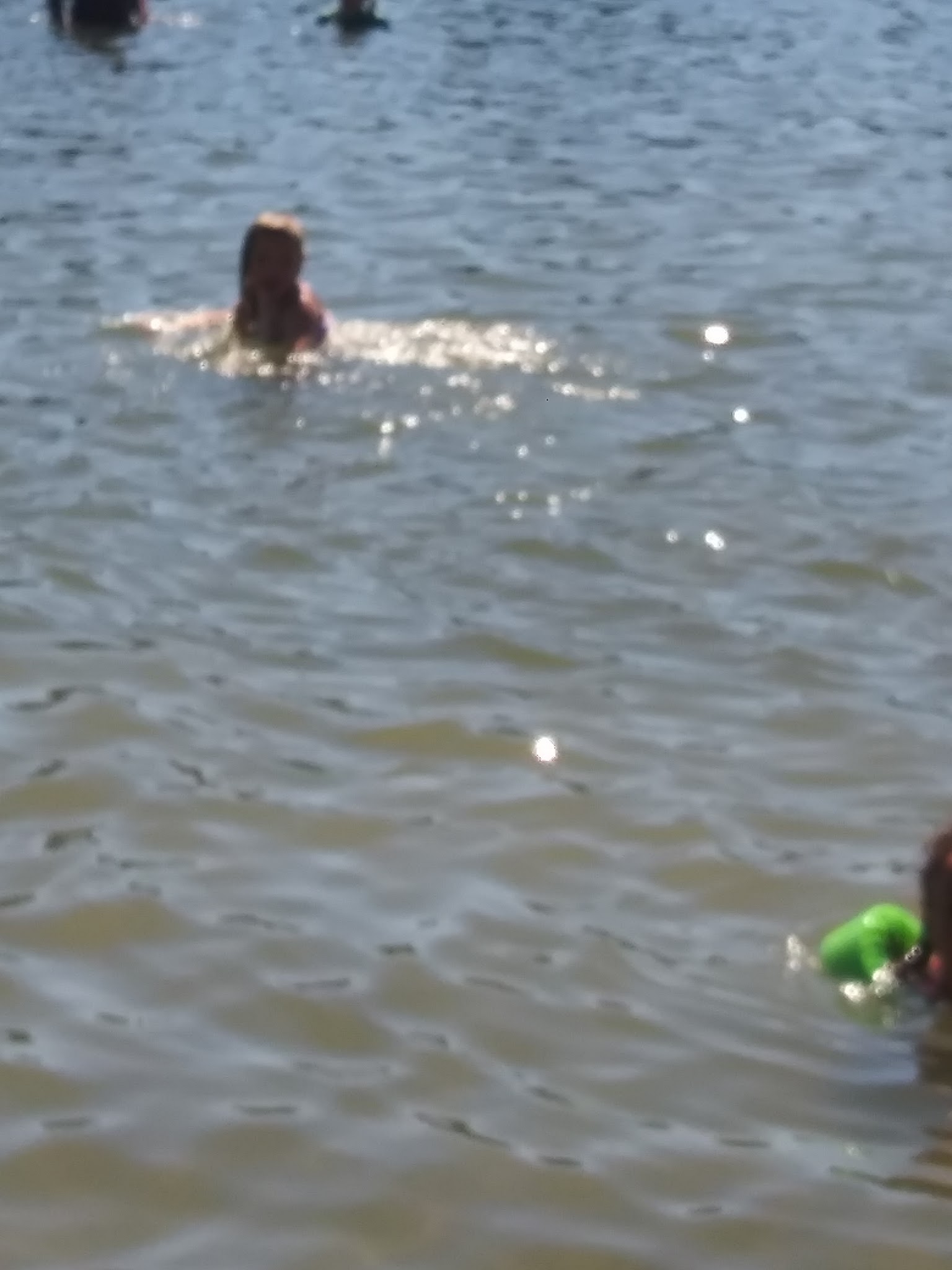 Millersylvania State Park