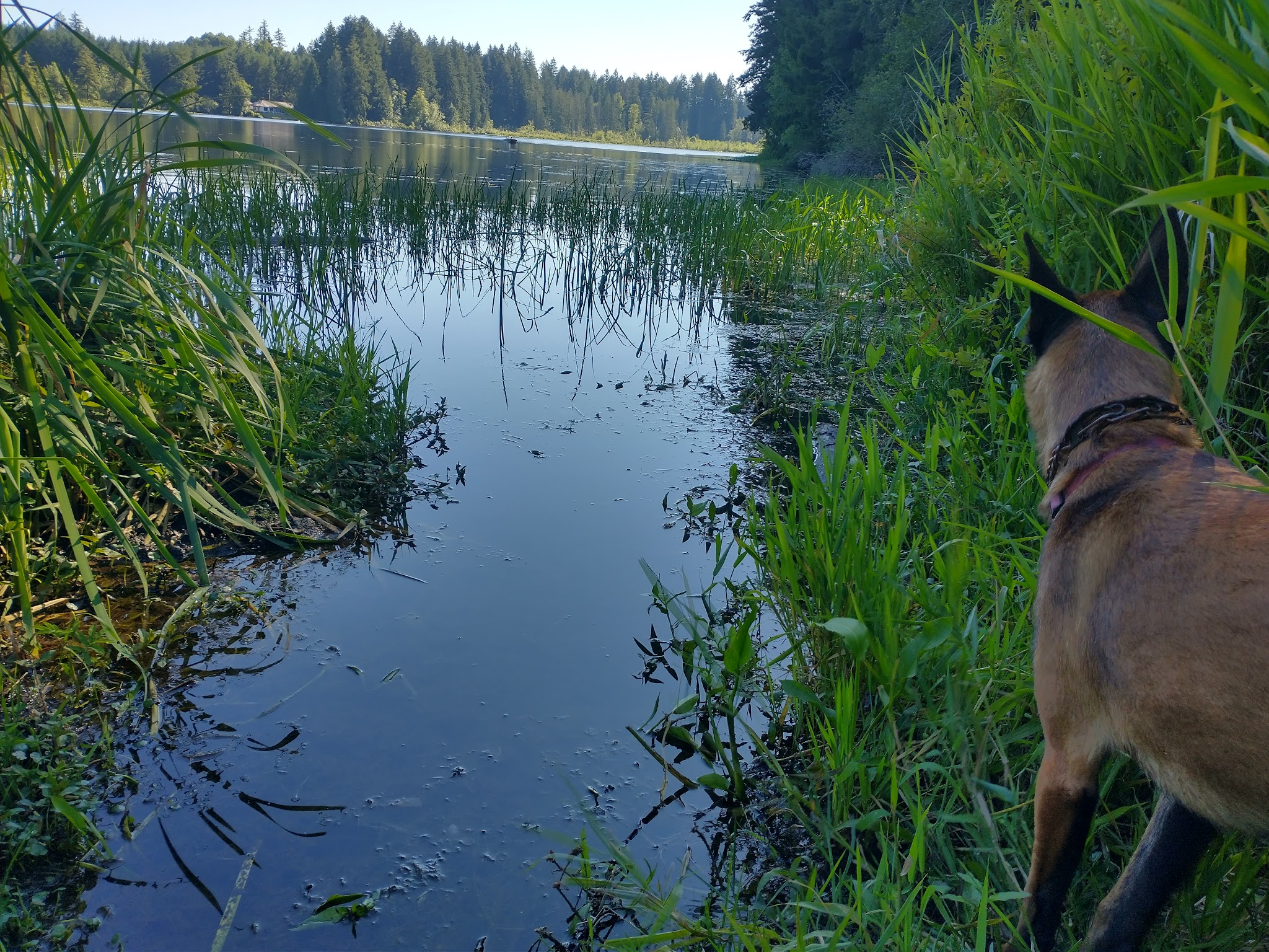 Millersylvania State Park