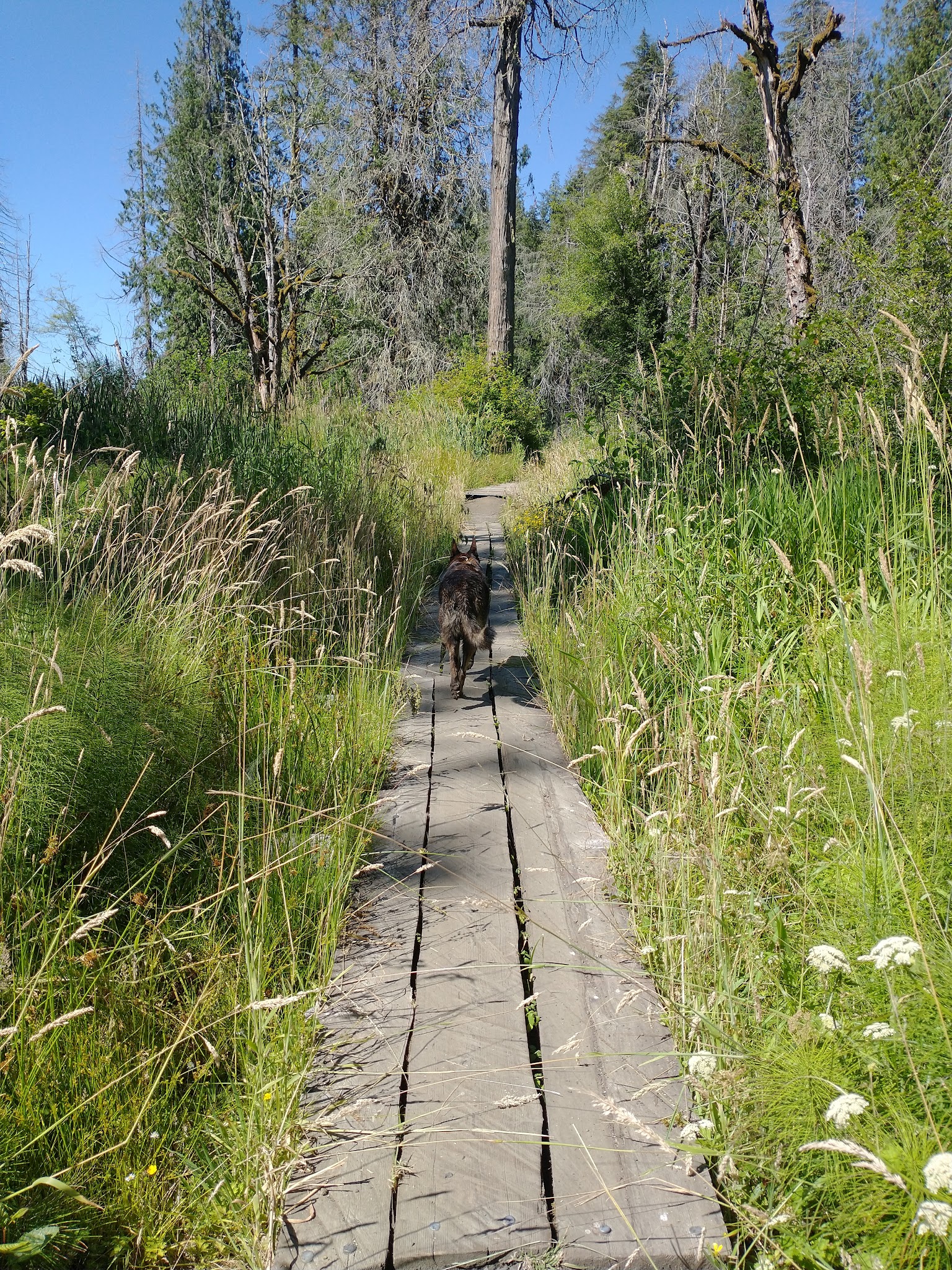 Millersylvania State Park