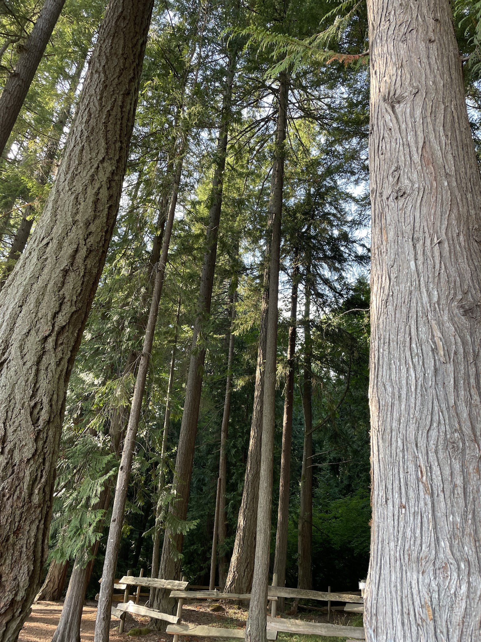 Millersylvania State Park