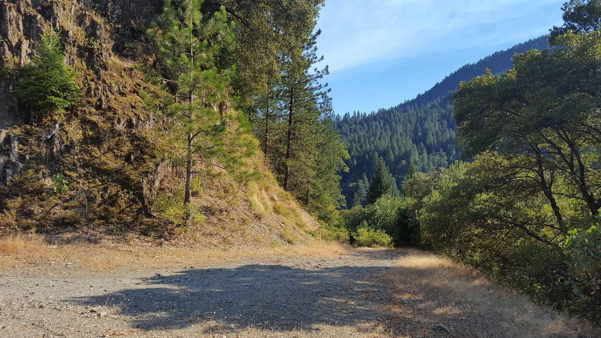 Milsap Bar Campground