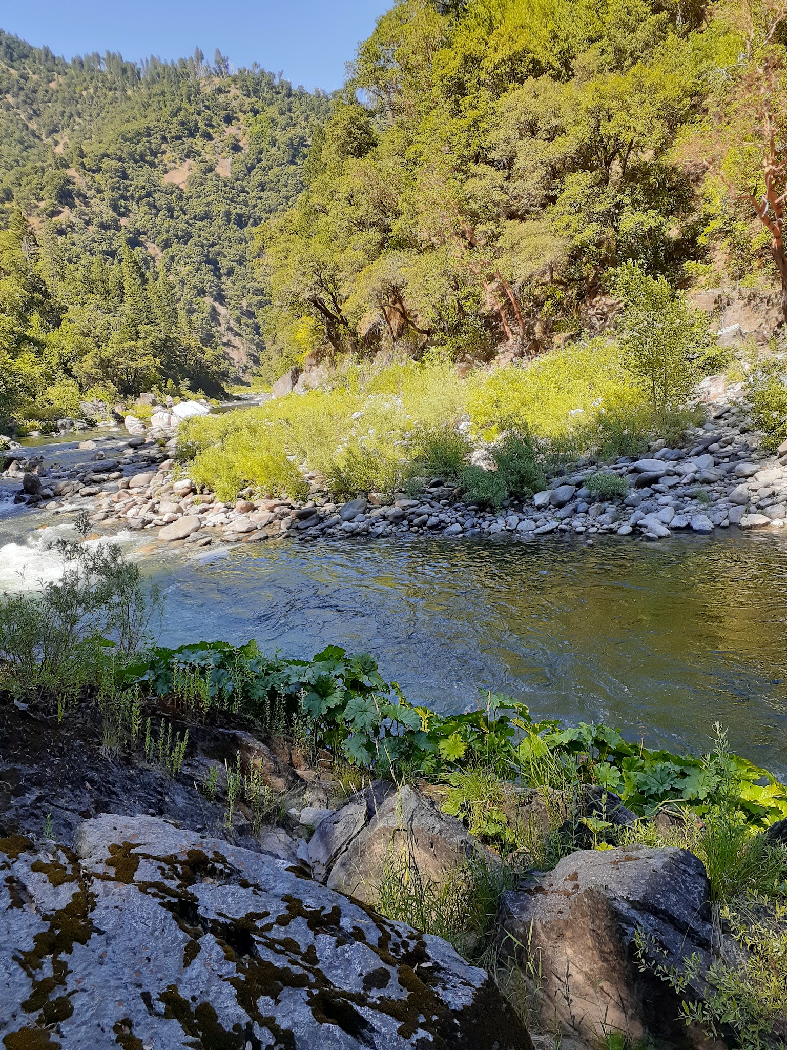 Milsap Bar Campground