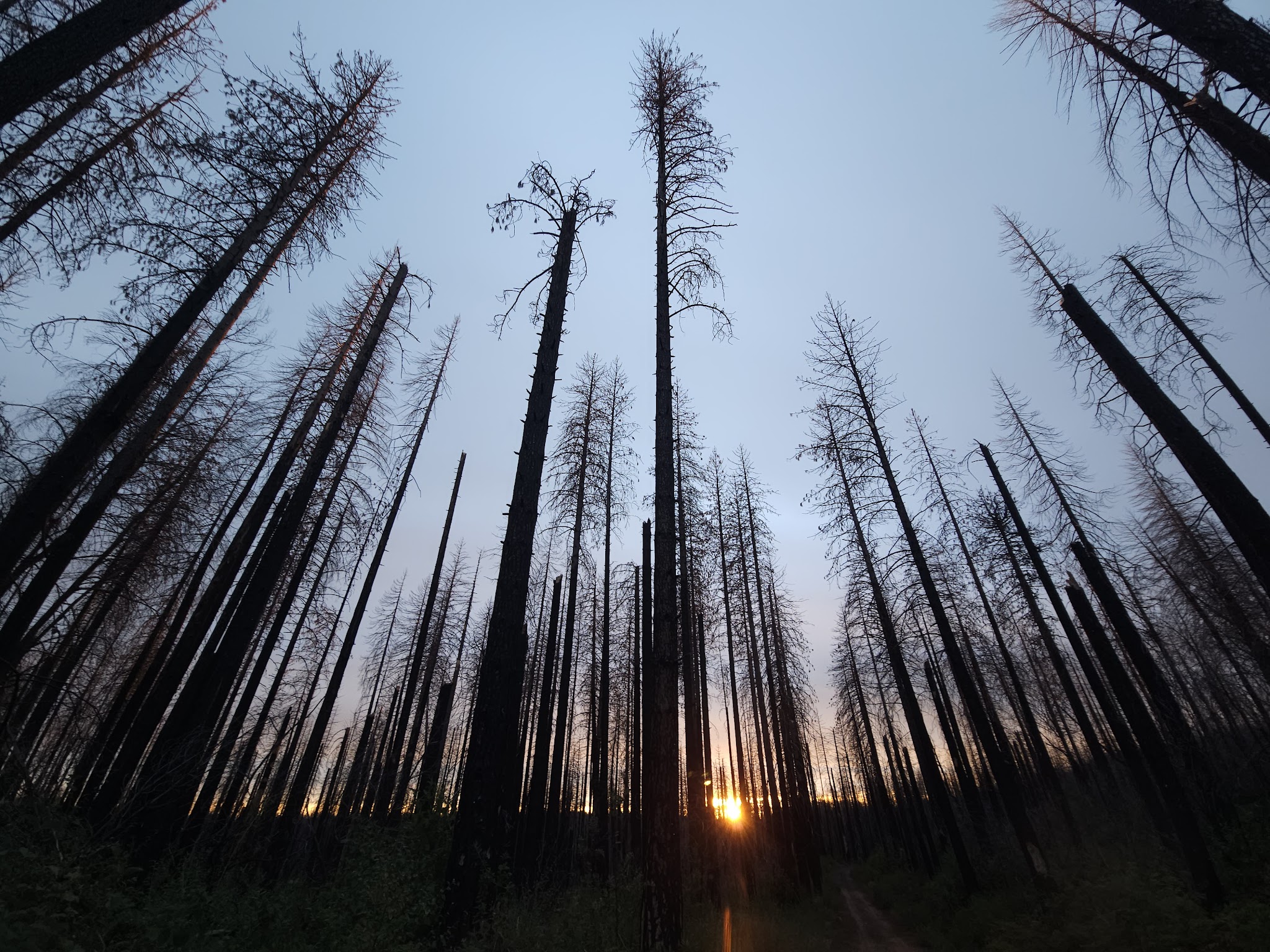 Milsap Bar Campground