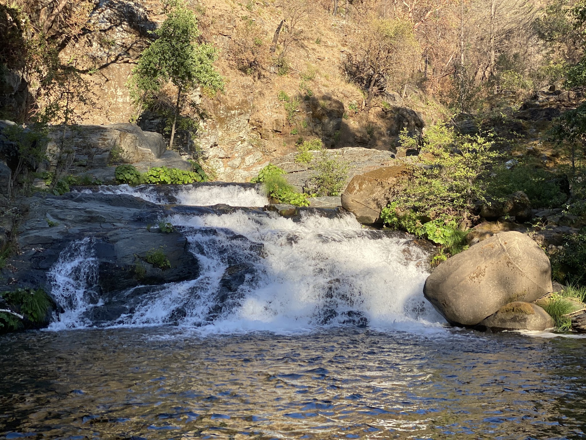 Milsap Bar Campground