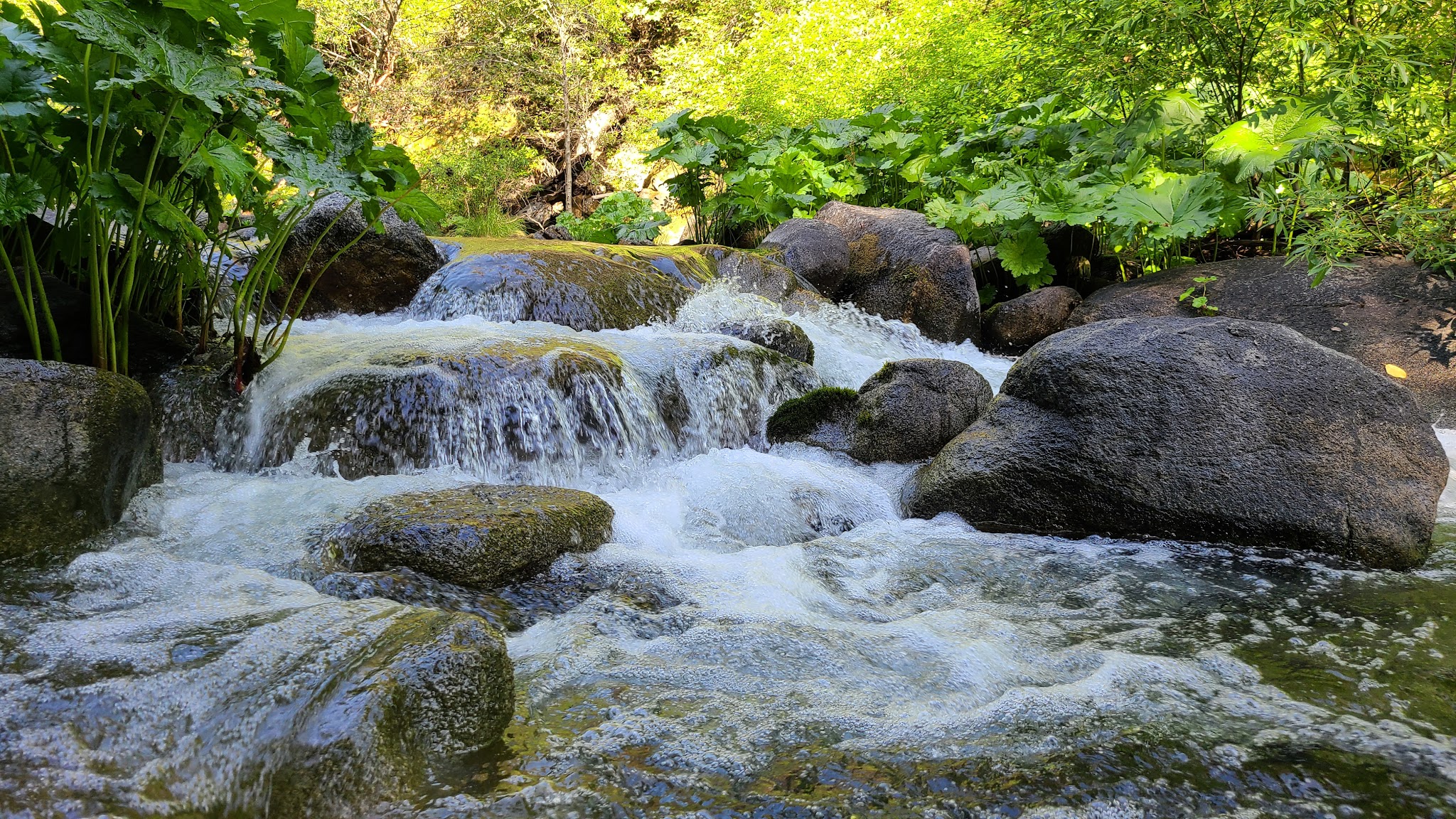 Milsap Bar Campground