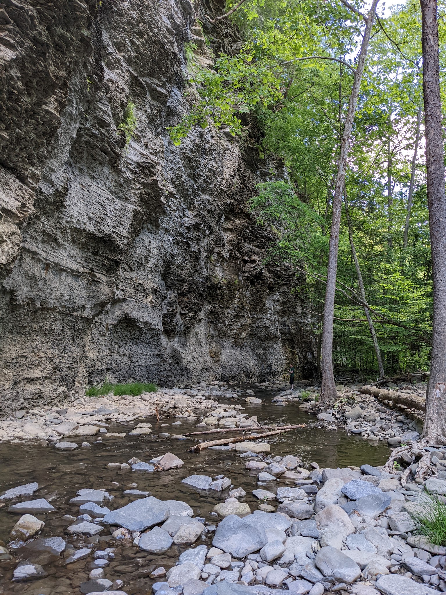 Mine Kill State Park