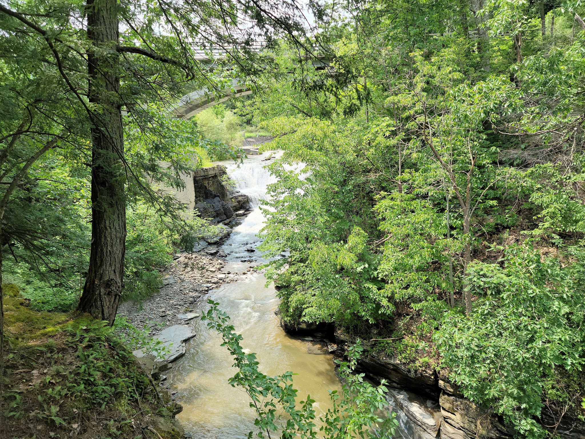 Mine Kill State Park