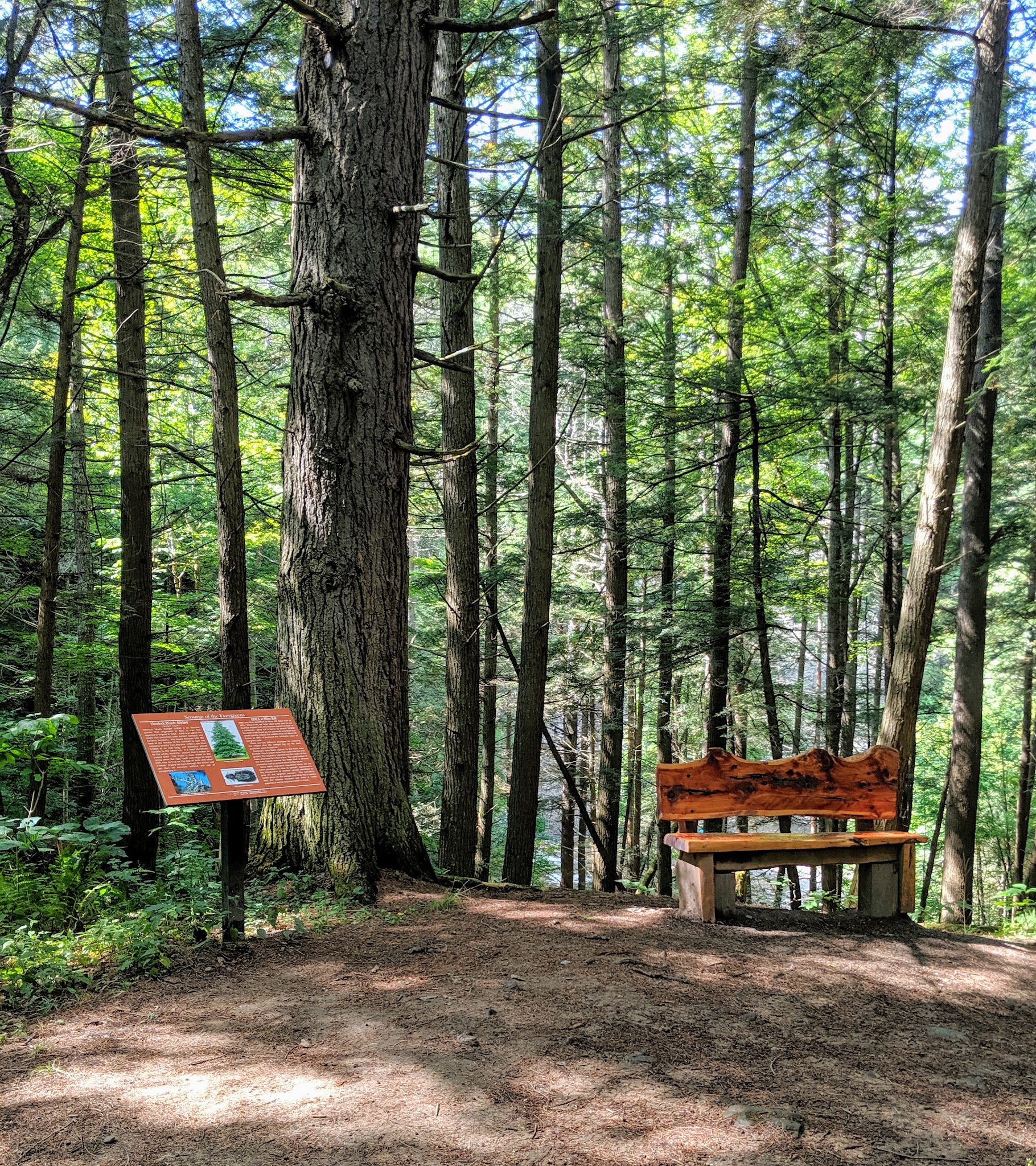 Mine Kill State Park