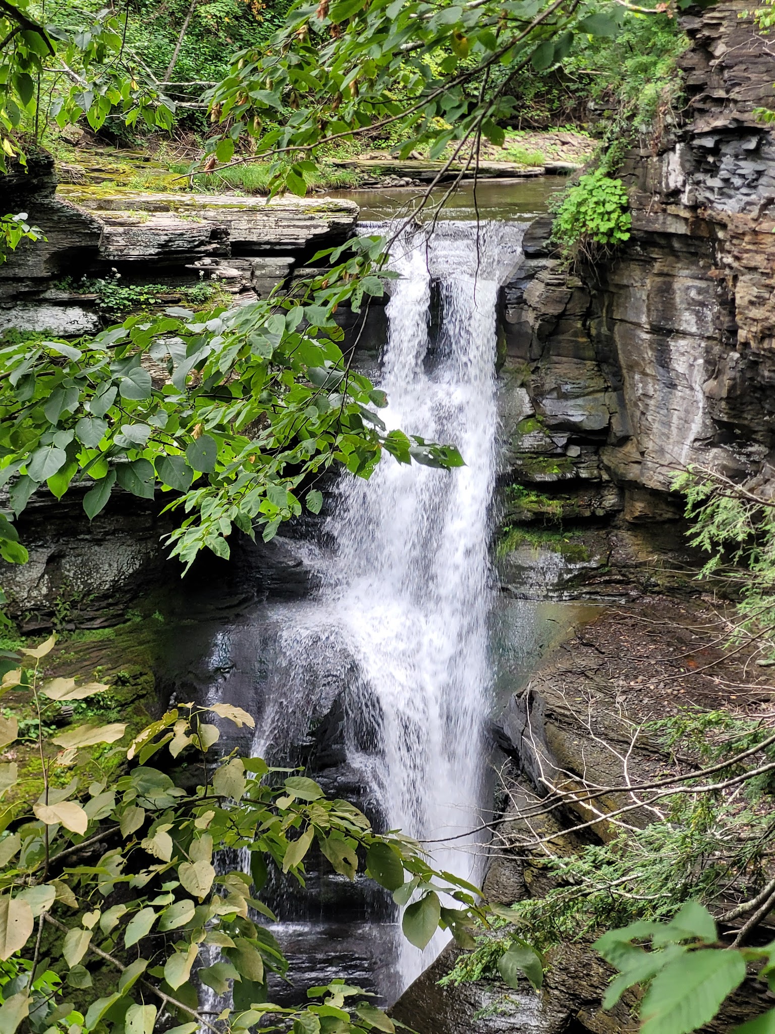 Mine Kill State Park