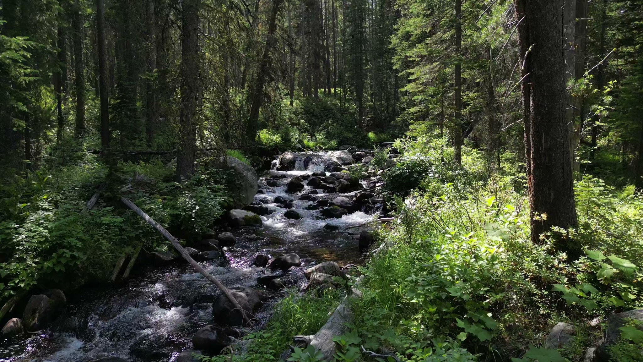 Miner Lake Campground