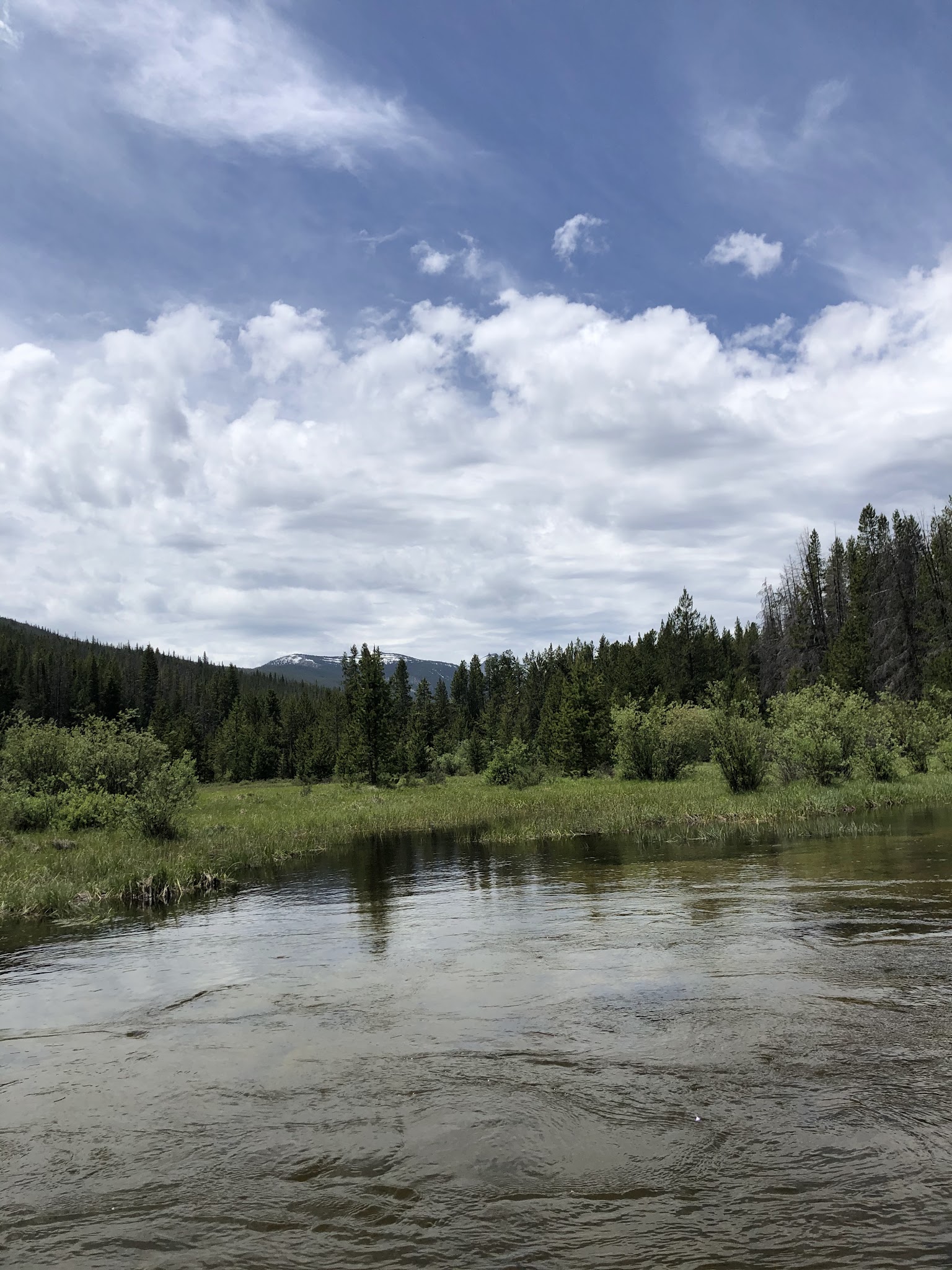 Miner Lake Campground