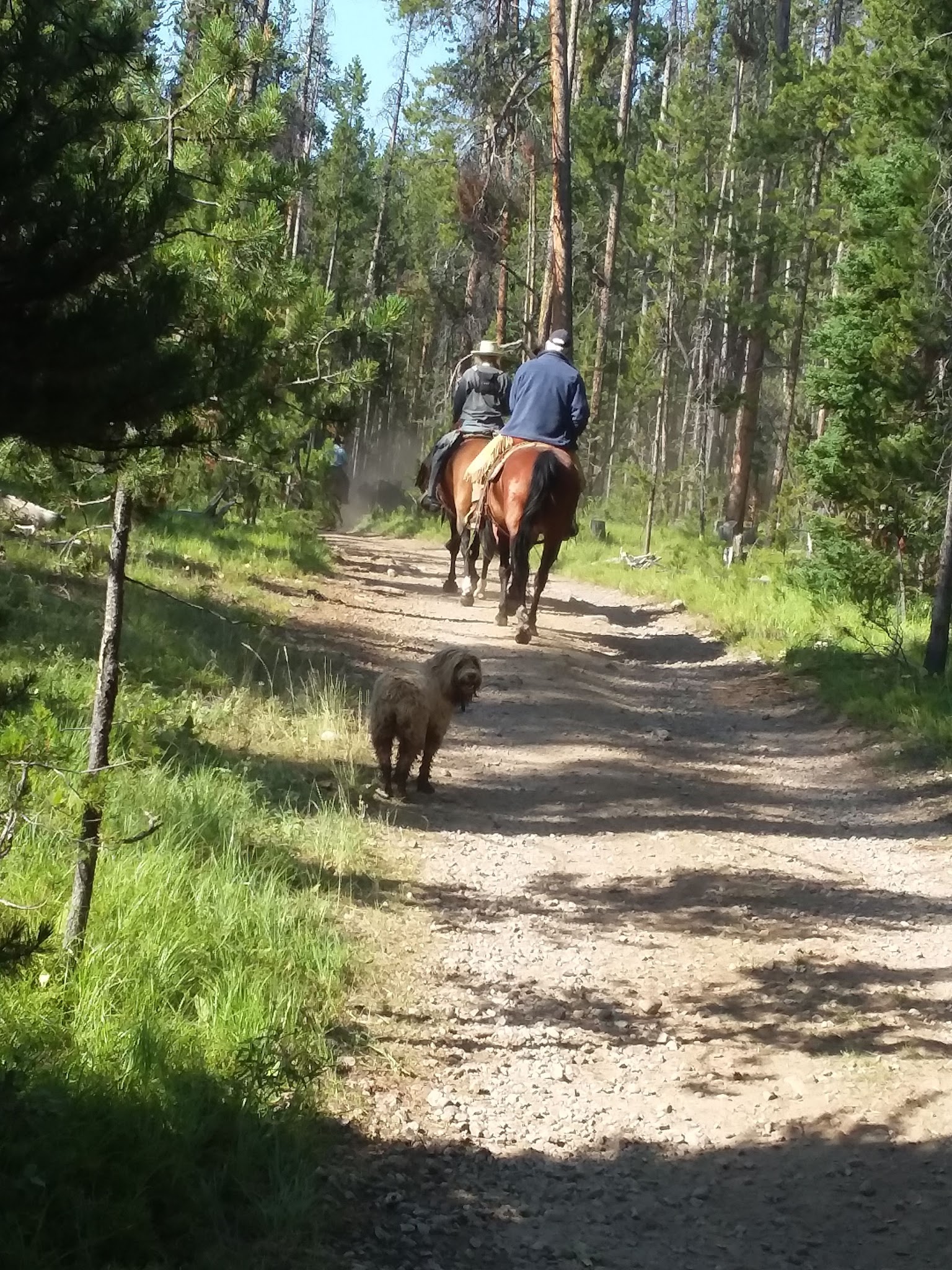 Miner Lake Campground