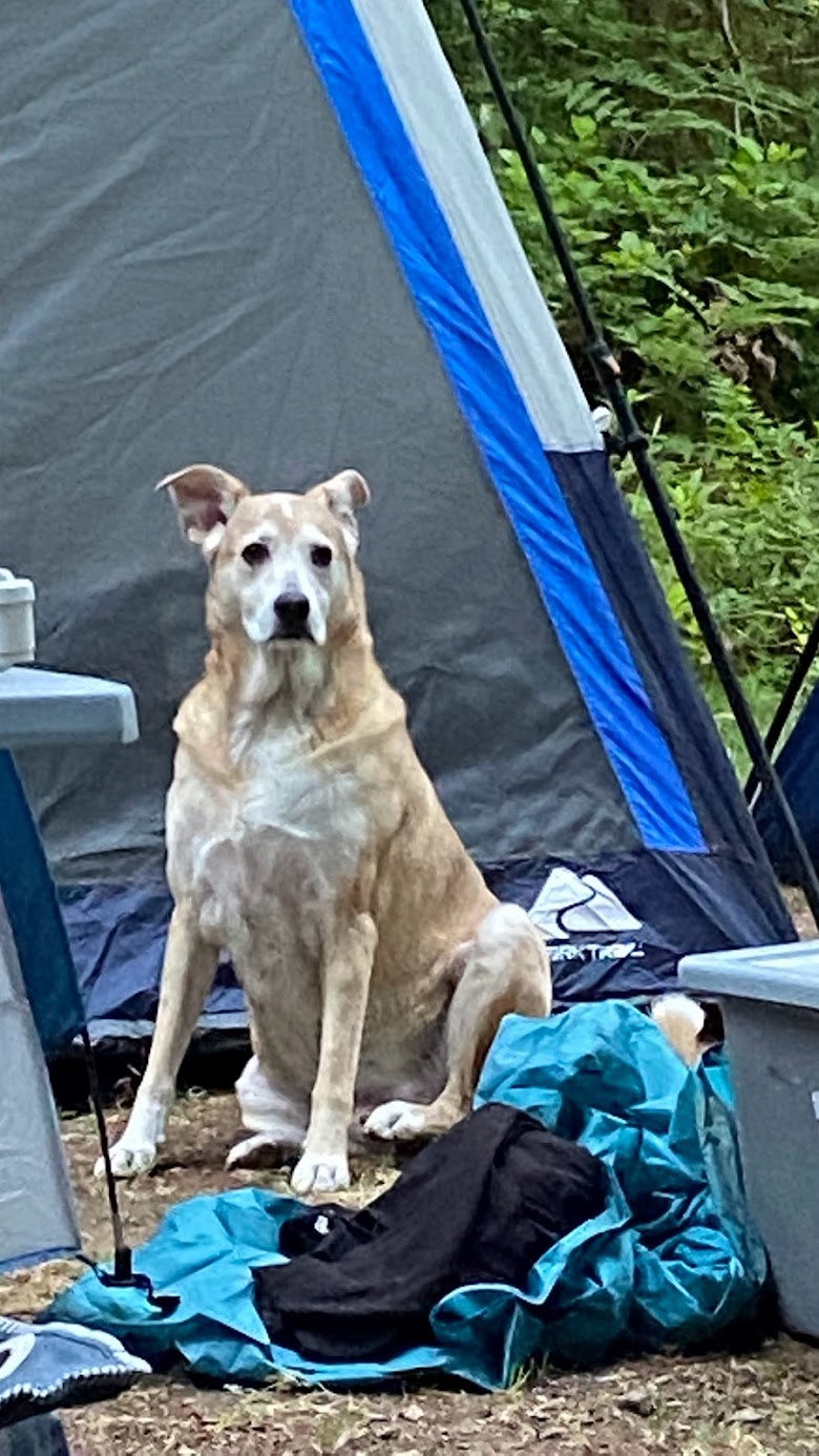 Mineral Camp Campground