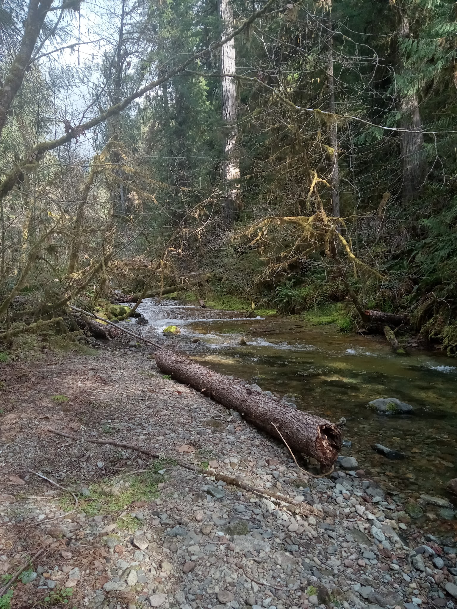 Mineral Camp Campground