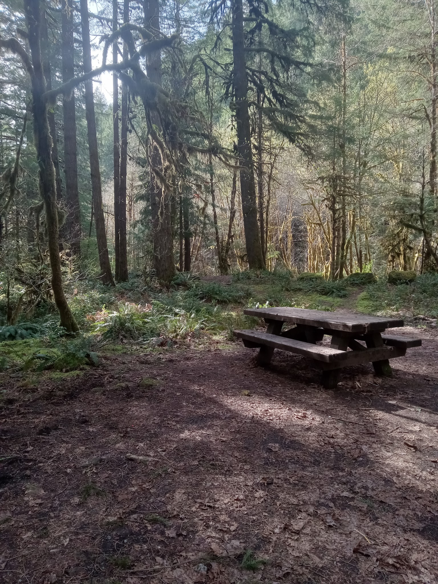 Mineral Camp Campground