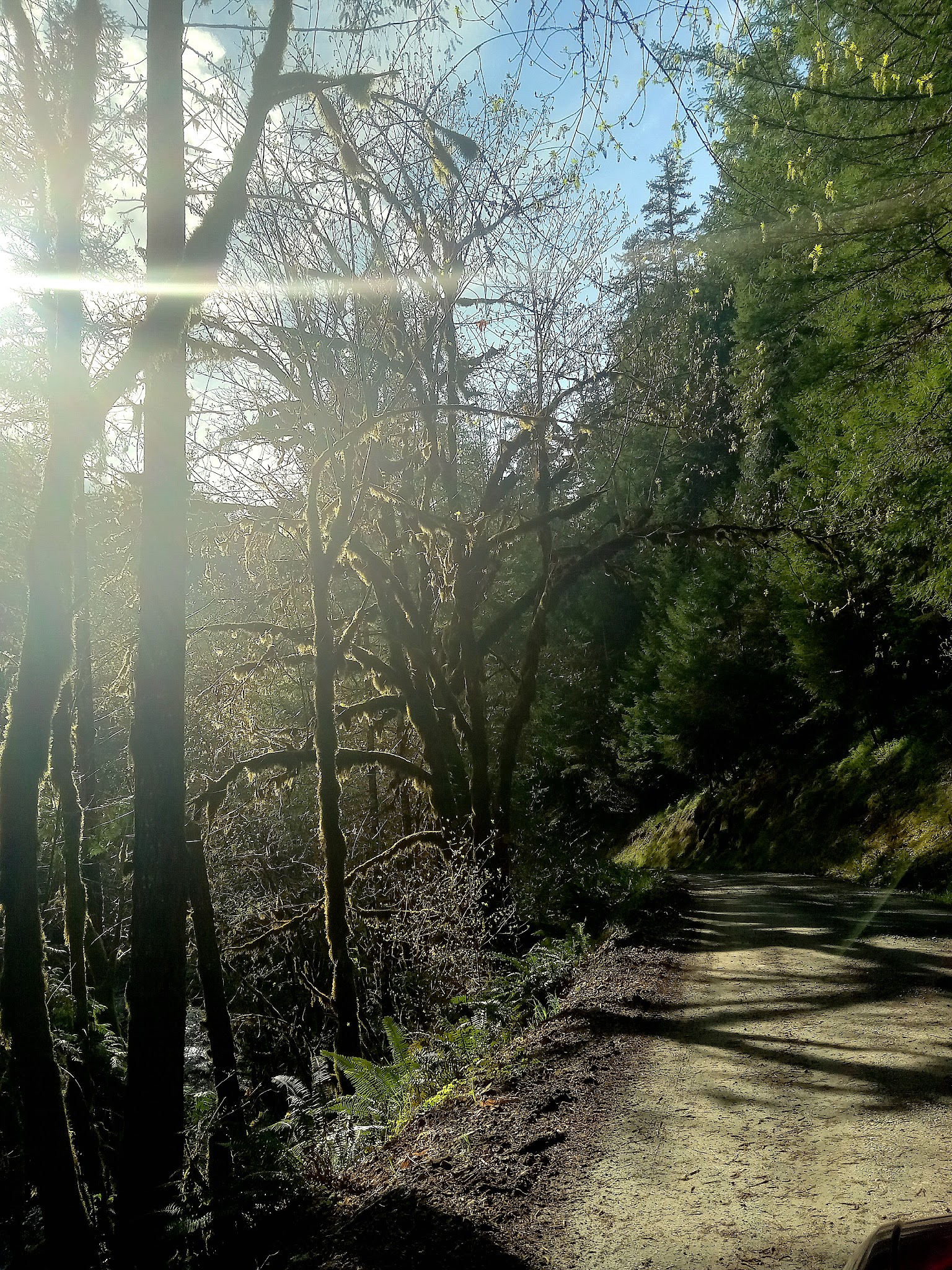 Mineral Camp Campground