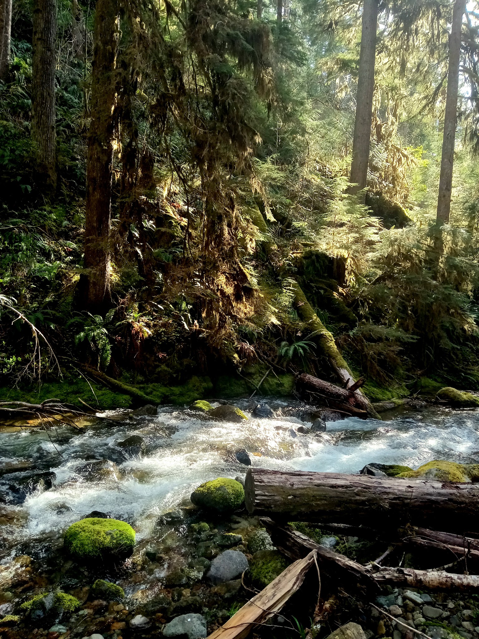 Mineral Camp Campground