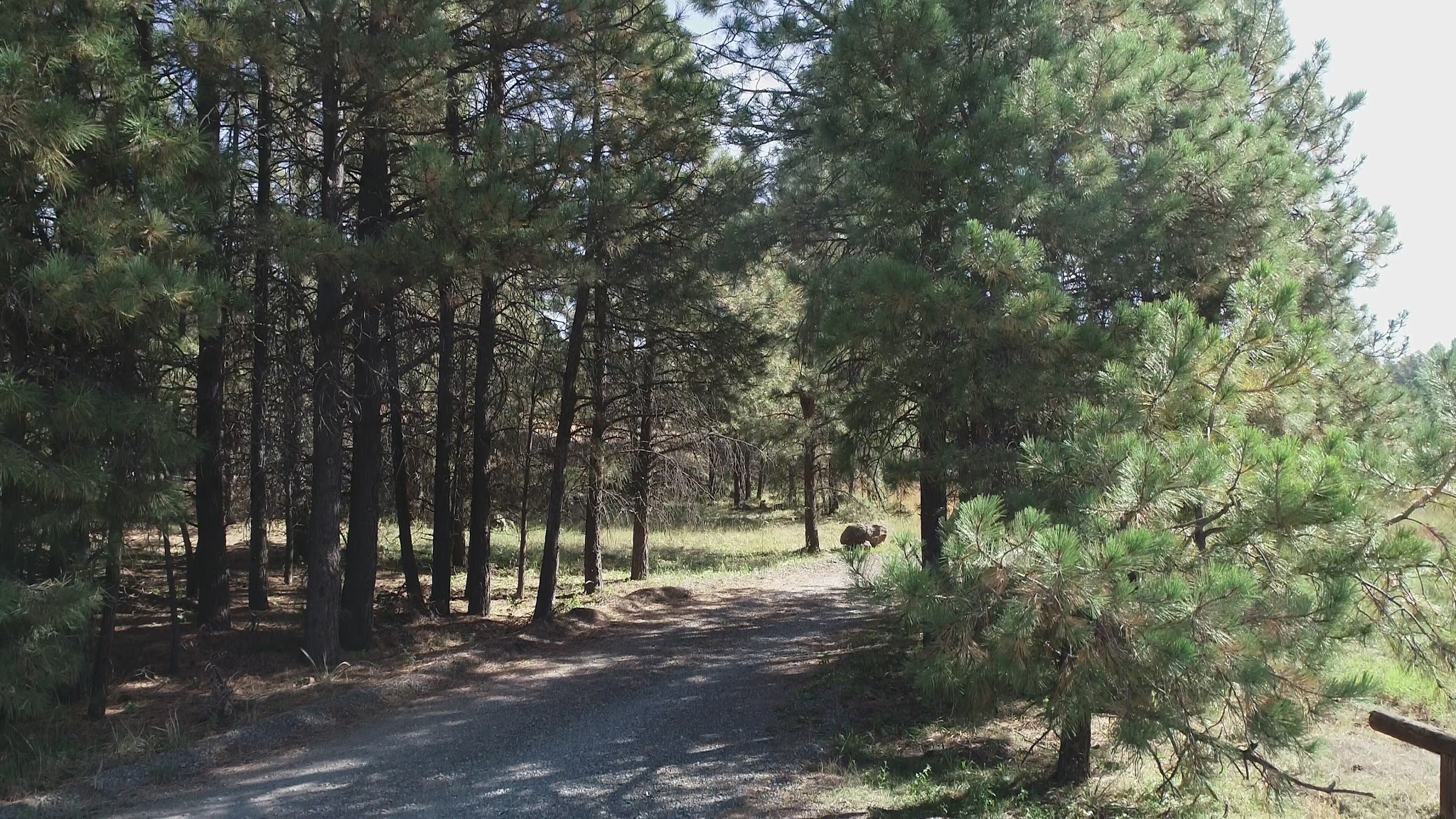 Mingus Mountain Campground