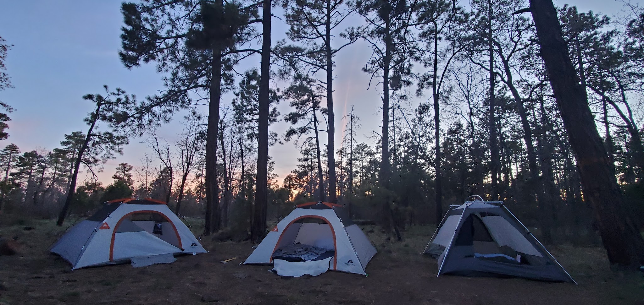 Mingus Mountain Campground