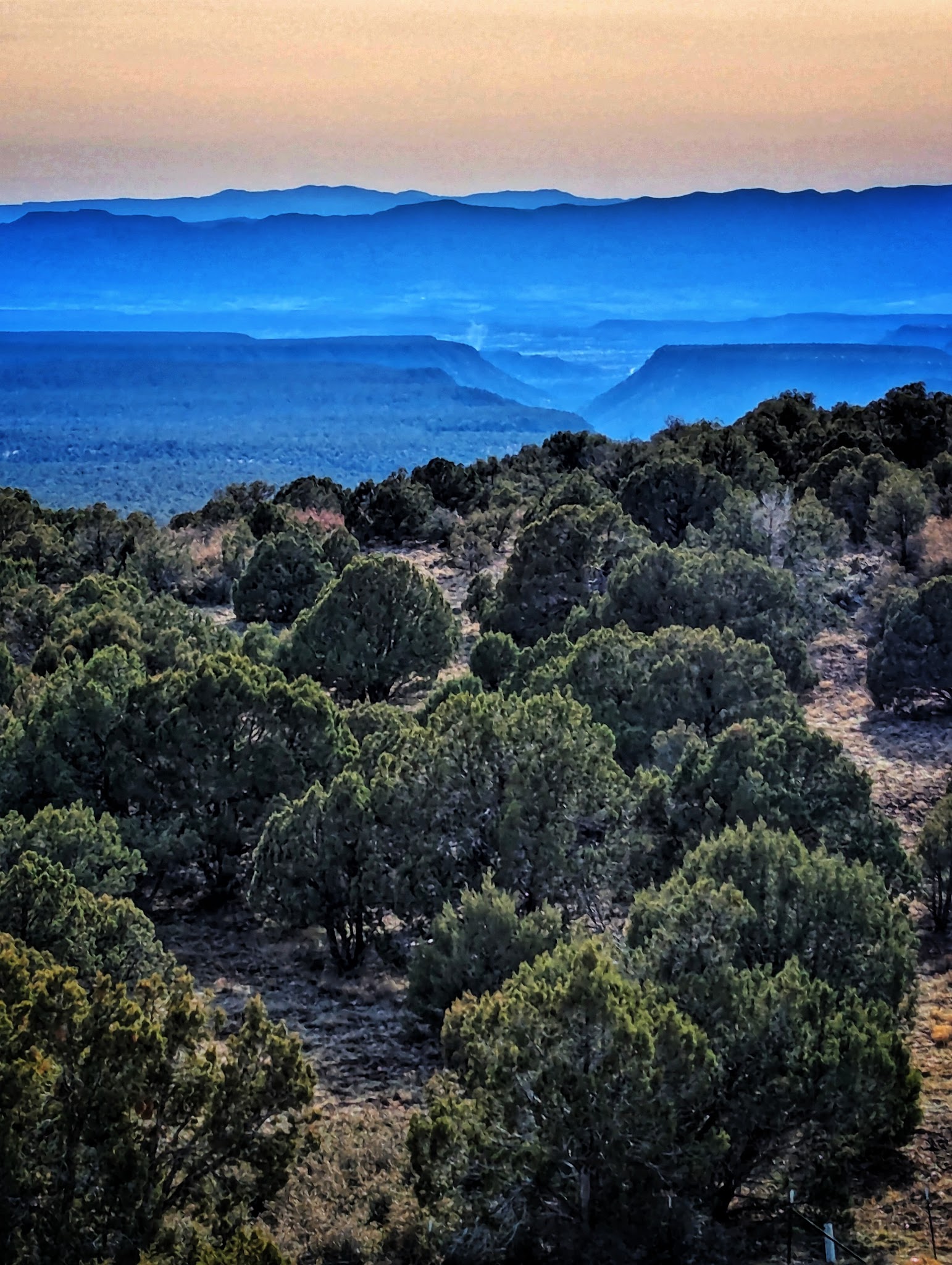 Mingus Mountain Campground