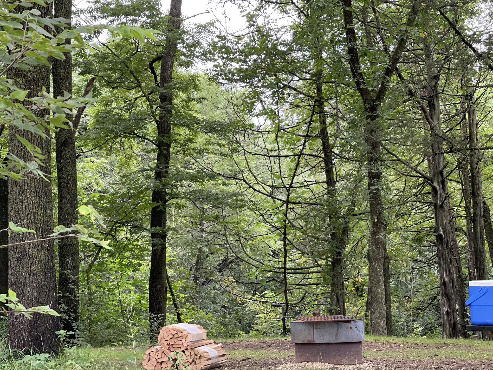 Minneiska Campground