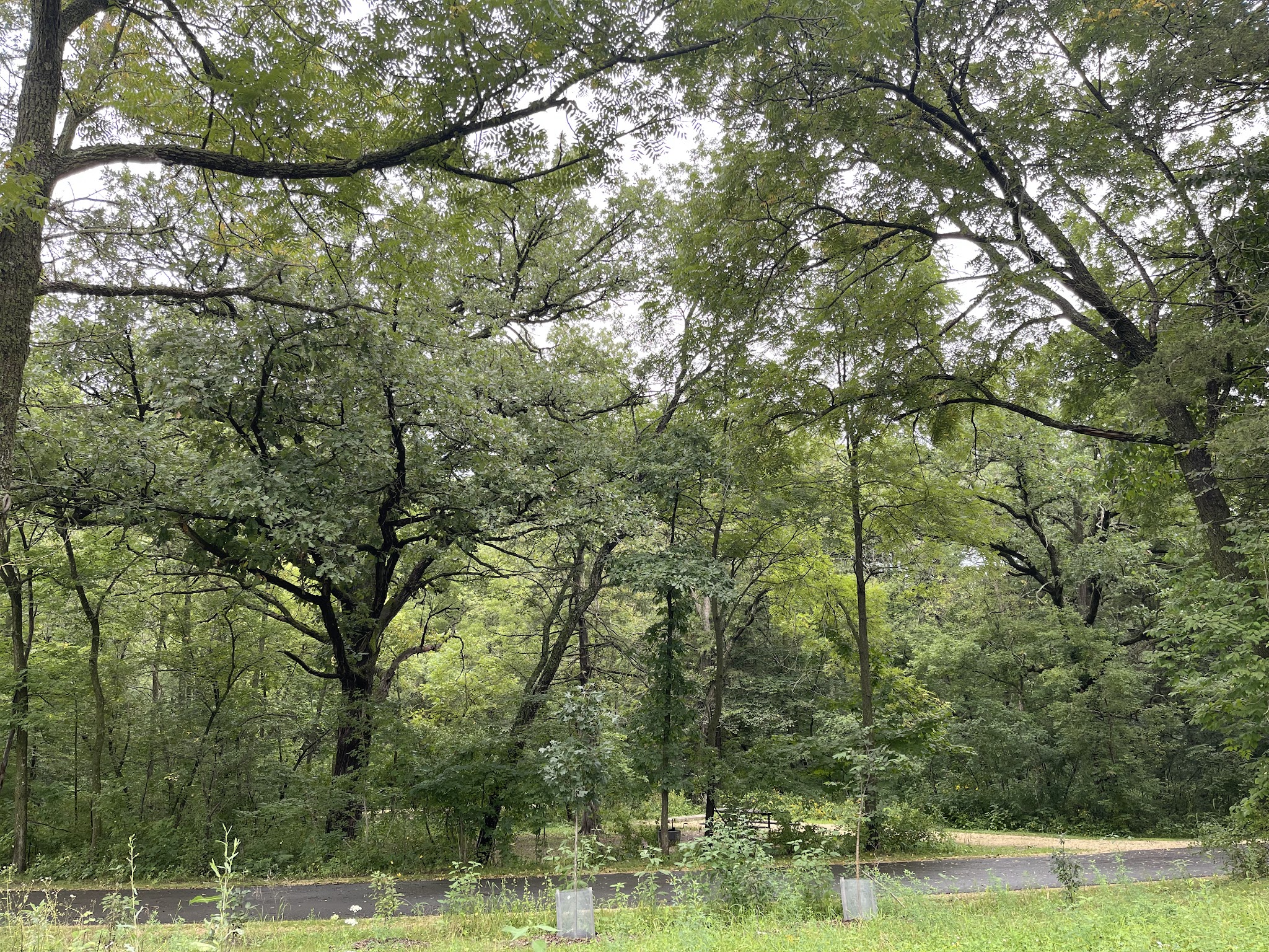 Minneiska Campground