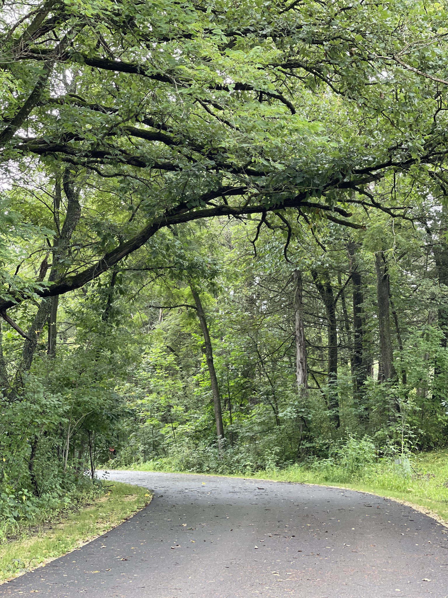 Minneiska Campground