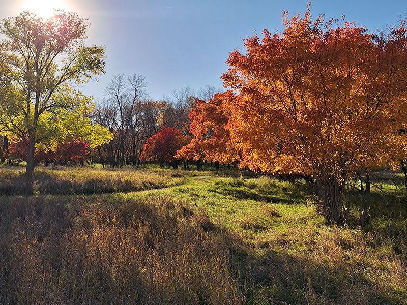Meadowbrook Area Campground