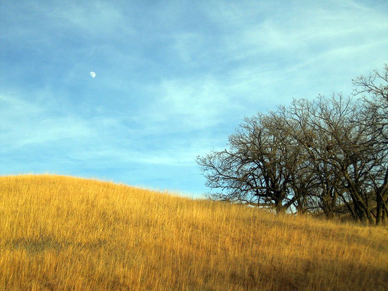 Meadowbrook Area Campground
